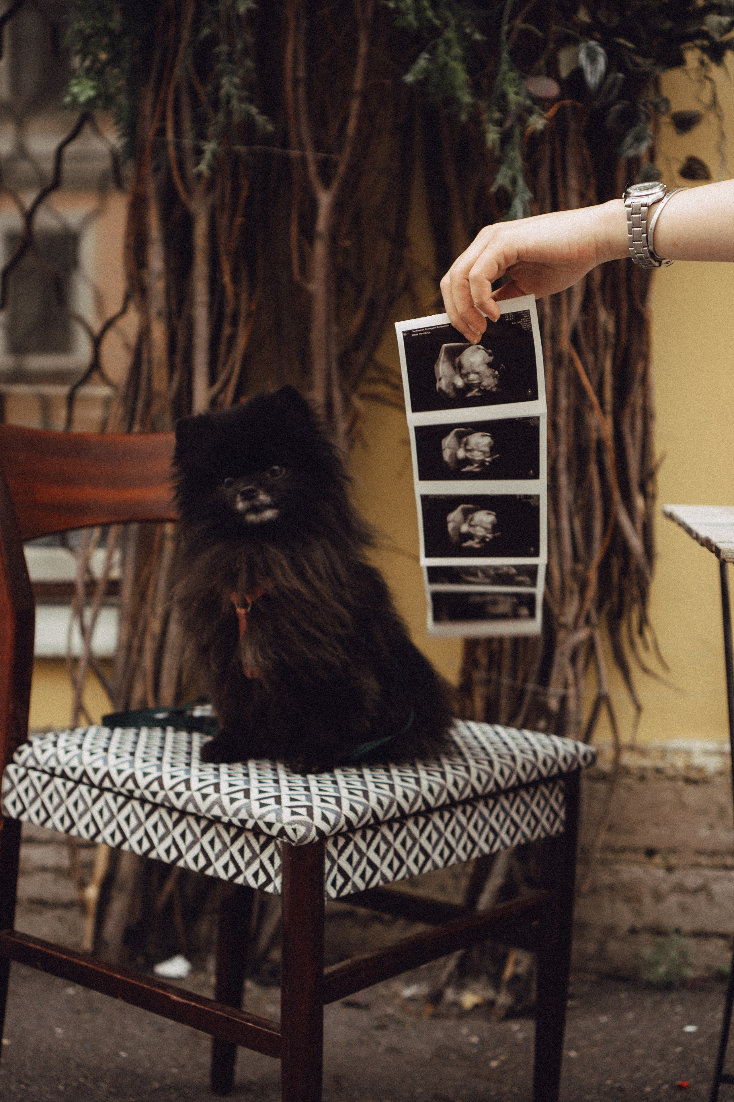 Беременность (только часть фото по желанию клиентов могу показать)). Профессиональный фотограф, Санкт-Петербург — Виктория Богомолова