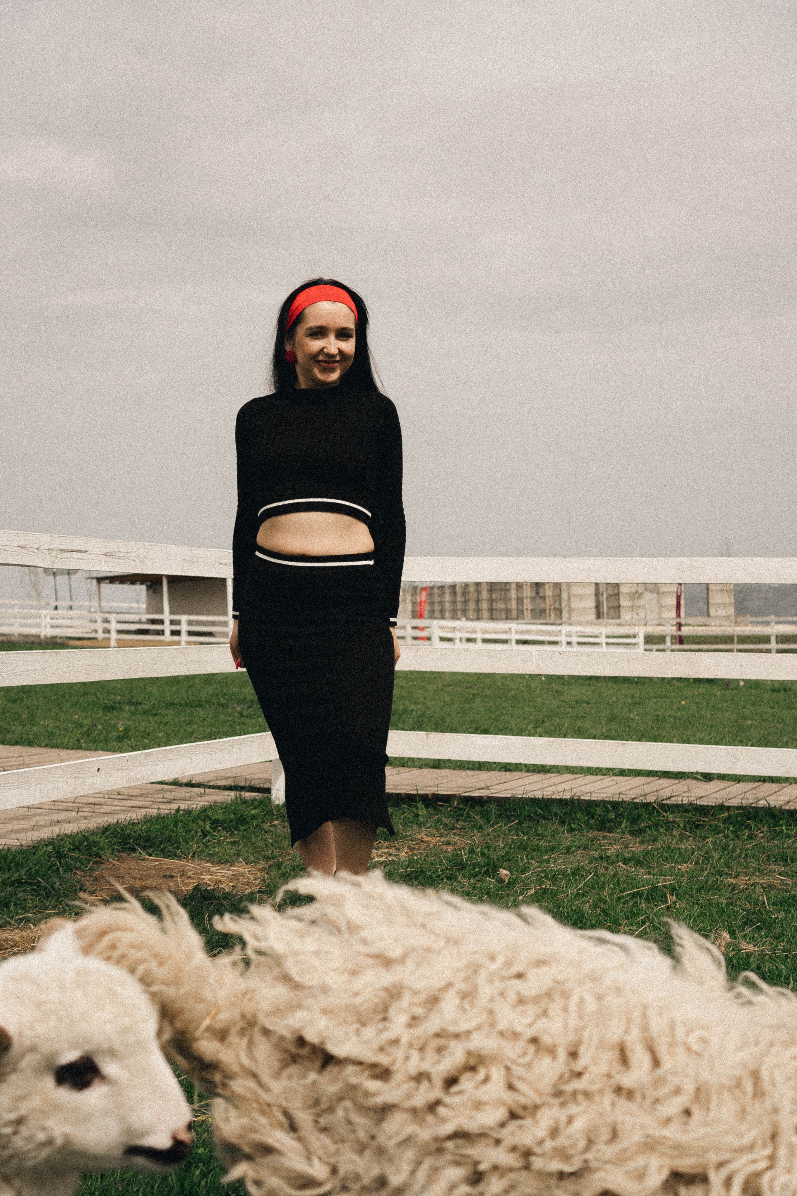 Ферма Альпак. Профессиональный фотограф, Санкт-Петербург — Виктория Богомолова