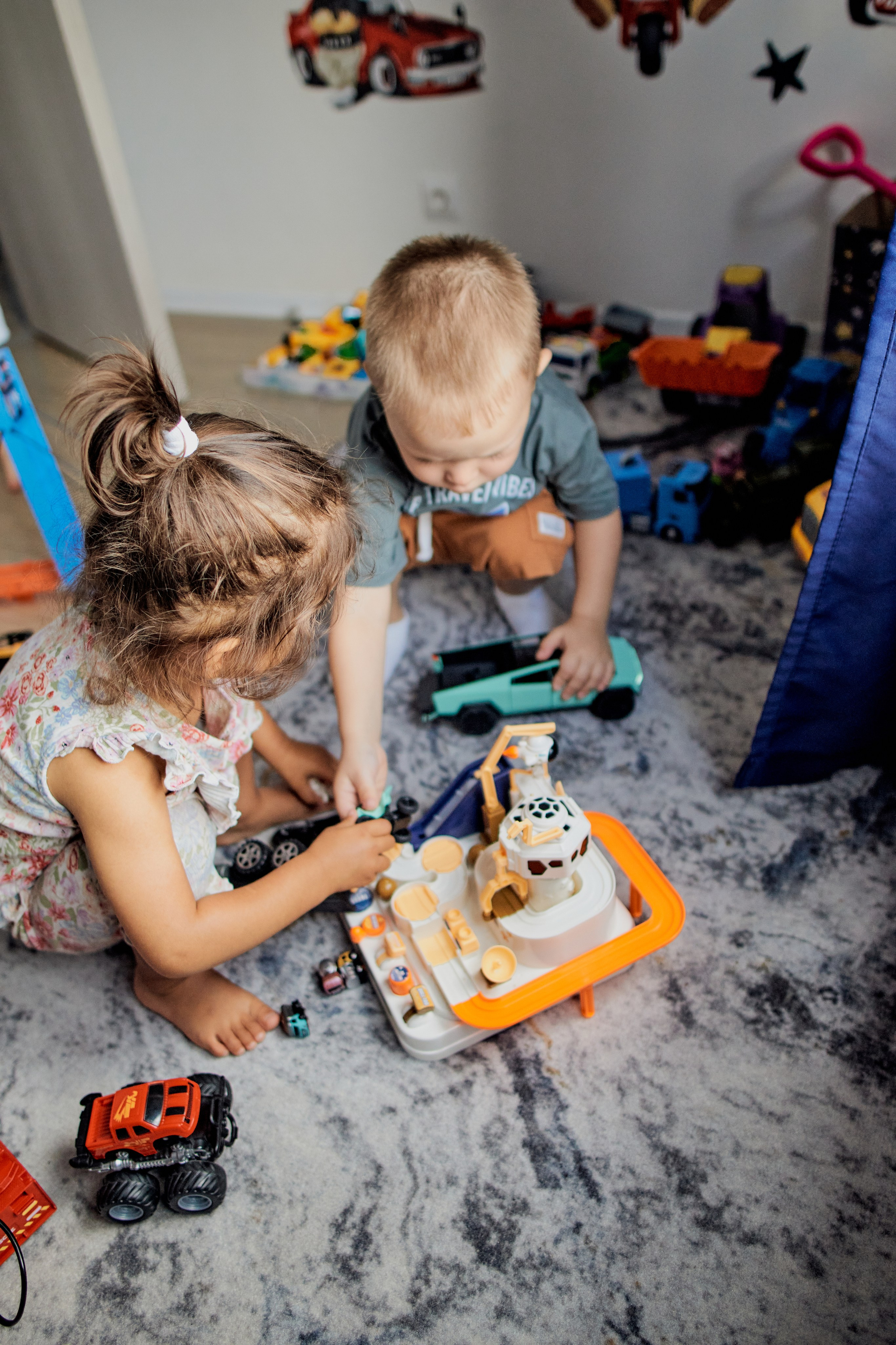 Три кота. Фотограф Москва