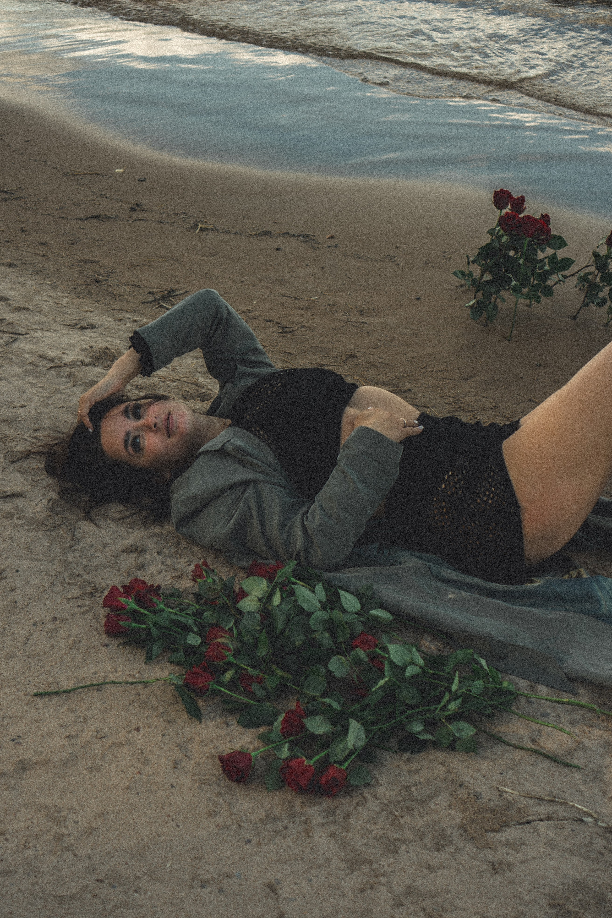 Розы. Профессиональный фотограф, Санкт-Петербург — Виктория Богомолова