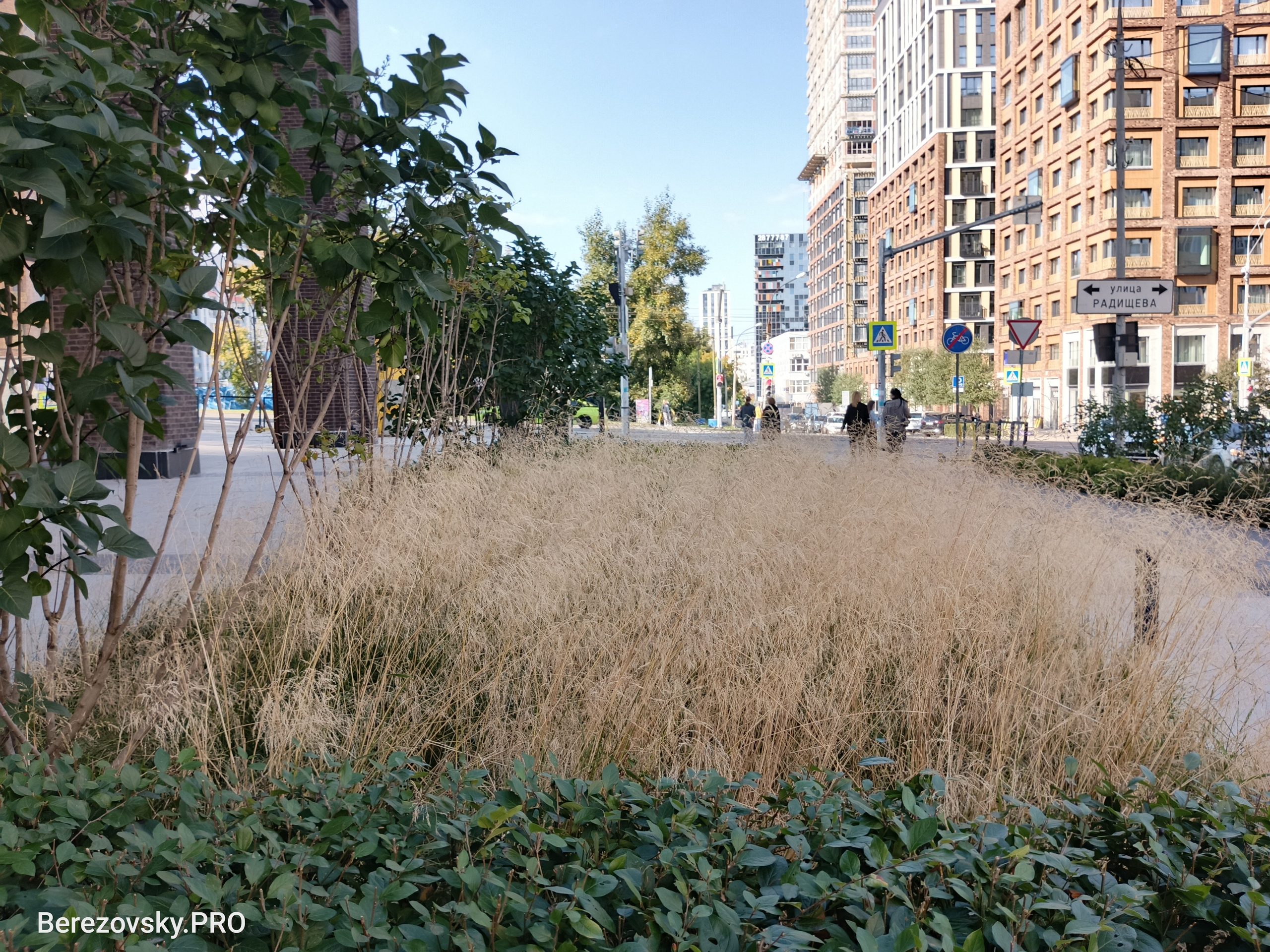 Солнечный. Фотограф в Санкт-Петербурге Березовский Даниил