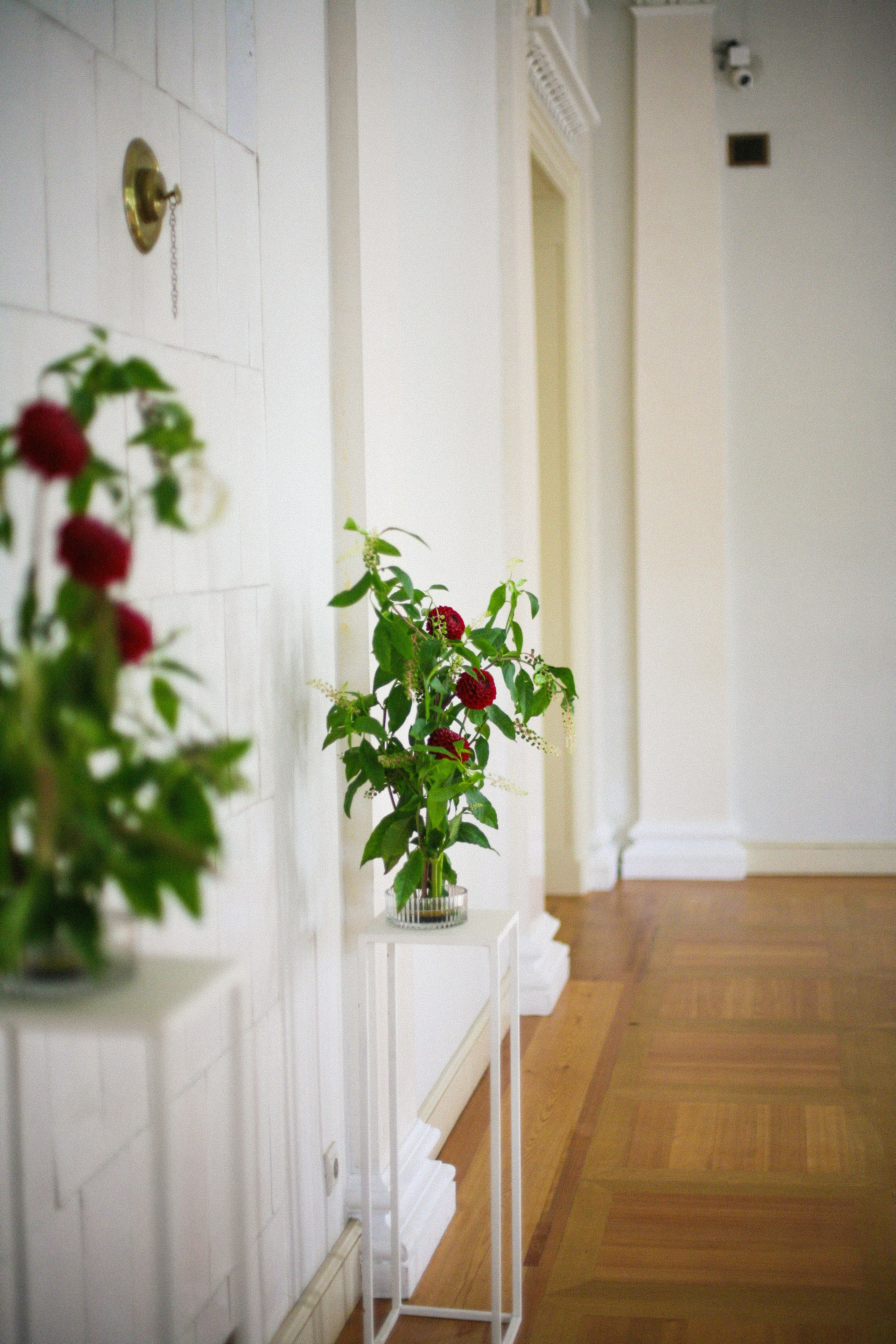 Аня и Кирилл (полный день с росписью). Фотограф Екатерина Максимова: семейные, индивидуальные съемки, свадьбы