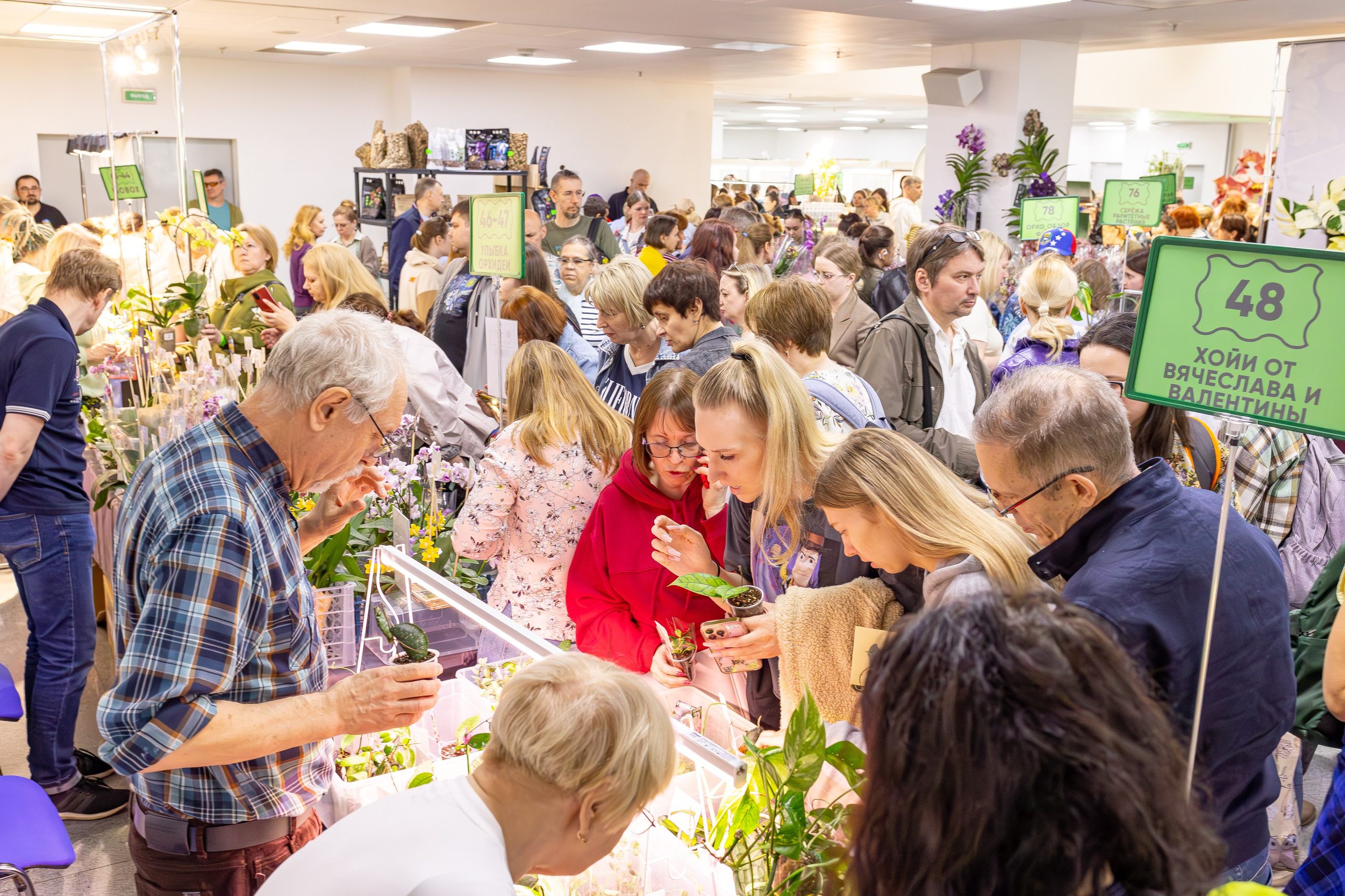 Орхидиум май 2025. Александра Куликова фотограф, Москва