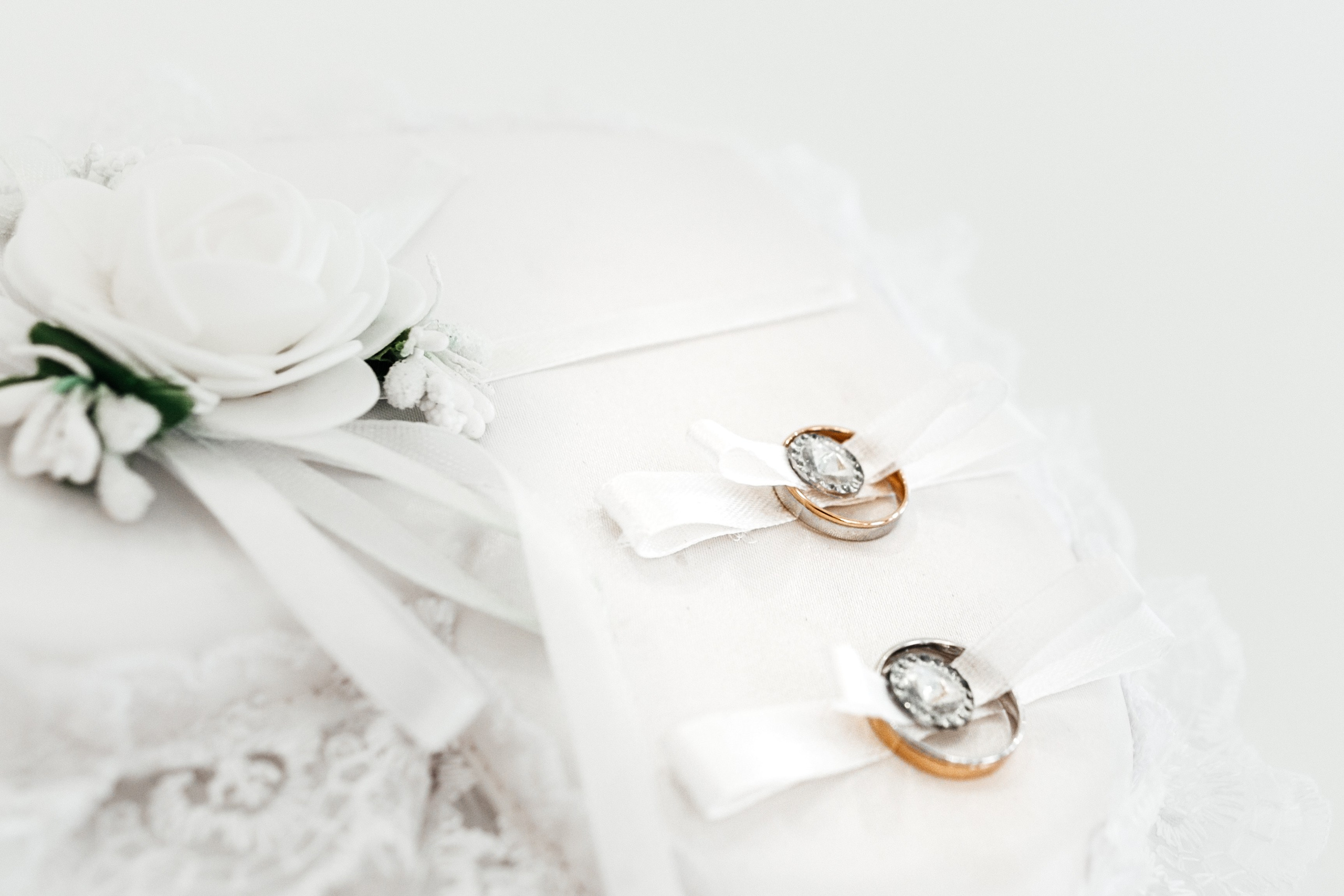 Светлана и Игорь. Семейный фотограф в Белгороде Амелина Алина