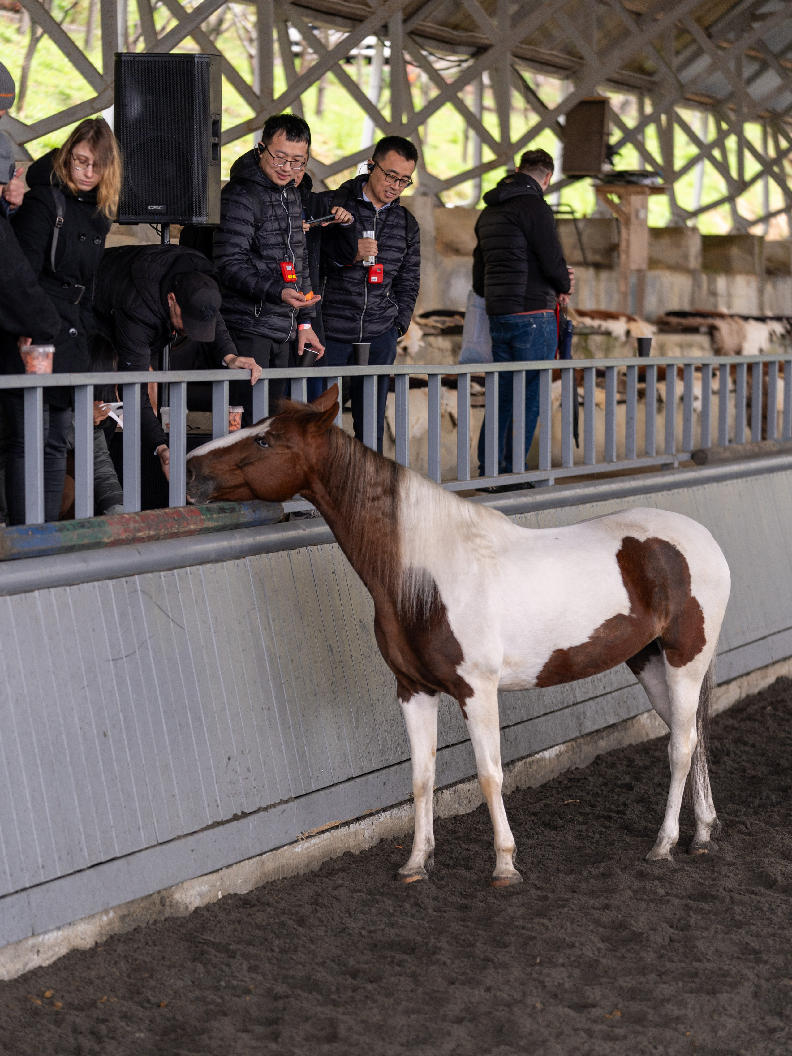 MICE мероприятие на ферме Экзархо. Репортажный фотограф в Красной Поляне и Сочи Павлюченко Екатерина