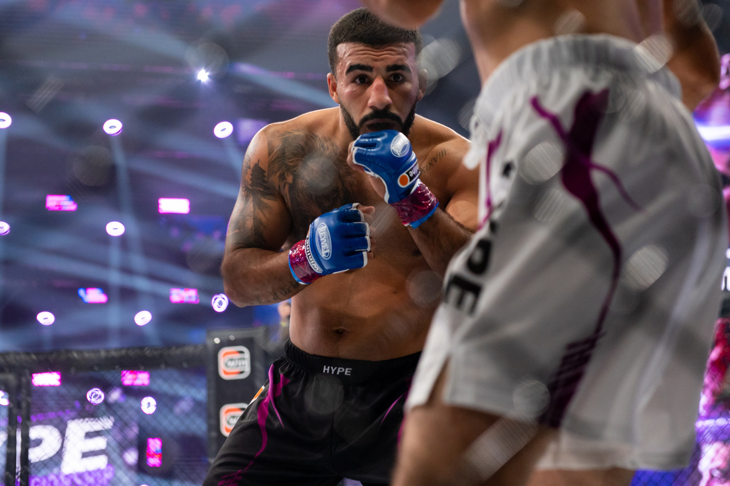 Бои. Репортажный фотограф в Красной Поляне и Сочи Павлюченко Екатерина