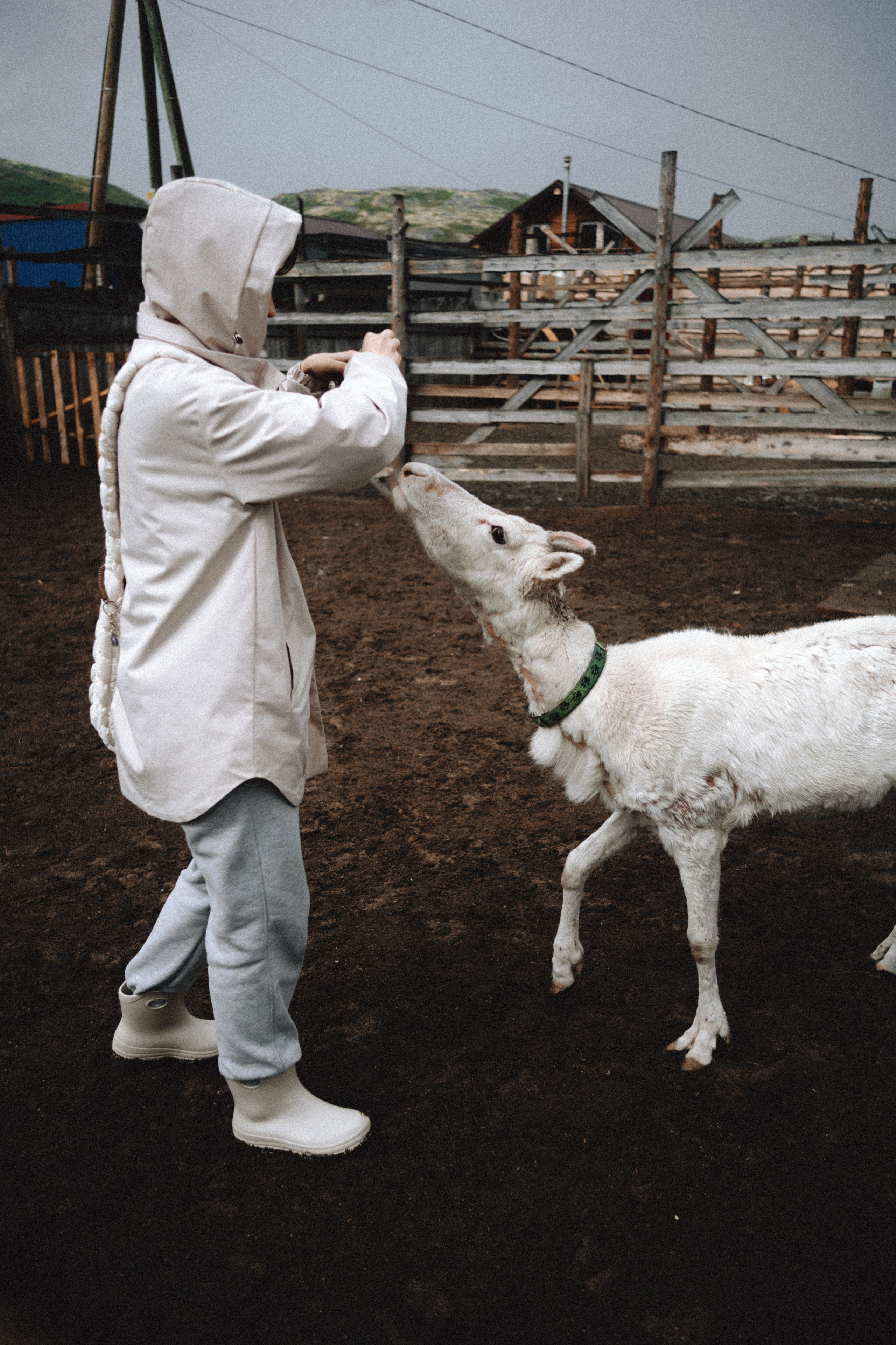 Териберка, Мурманск. Фотосъёмка для компании по организации туров в коллаборации с Яндекс 360