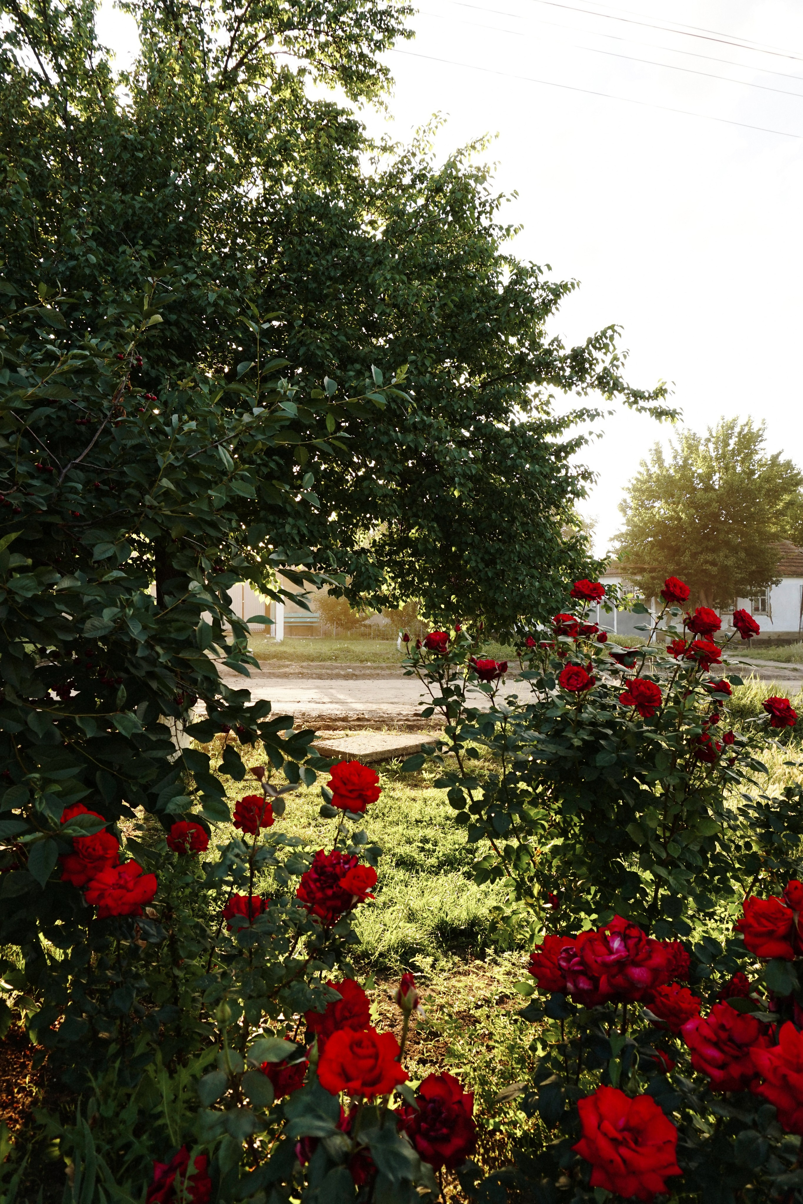 Домик в деревне. Семейный фотограф в Москве Ирина Жур