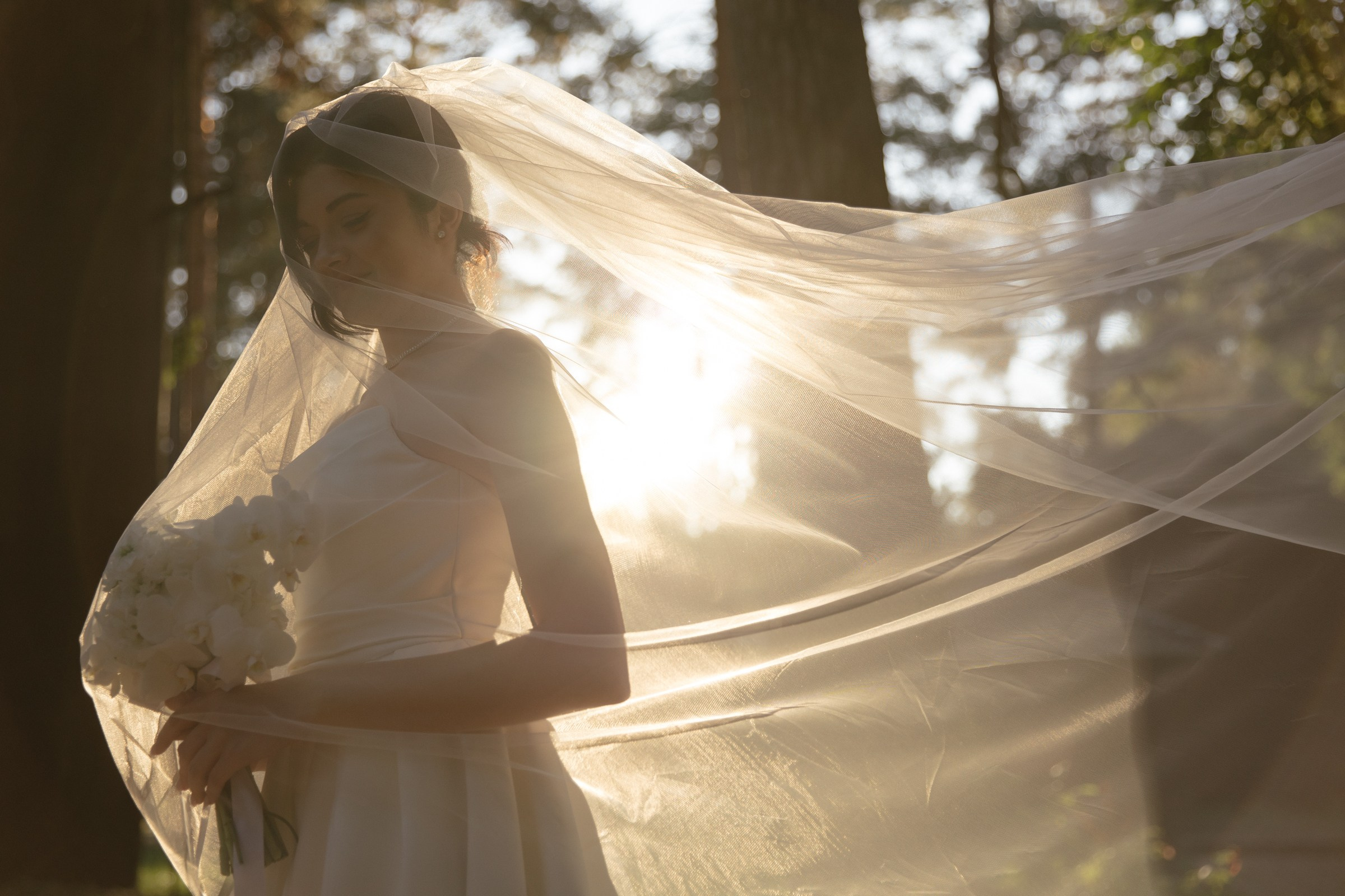 Авторский коктейль. Dima Lemeshevsky