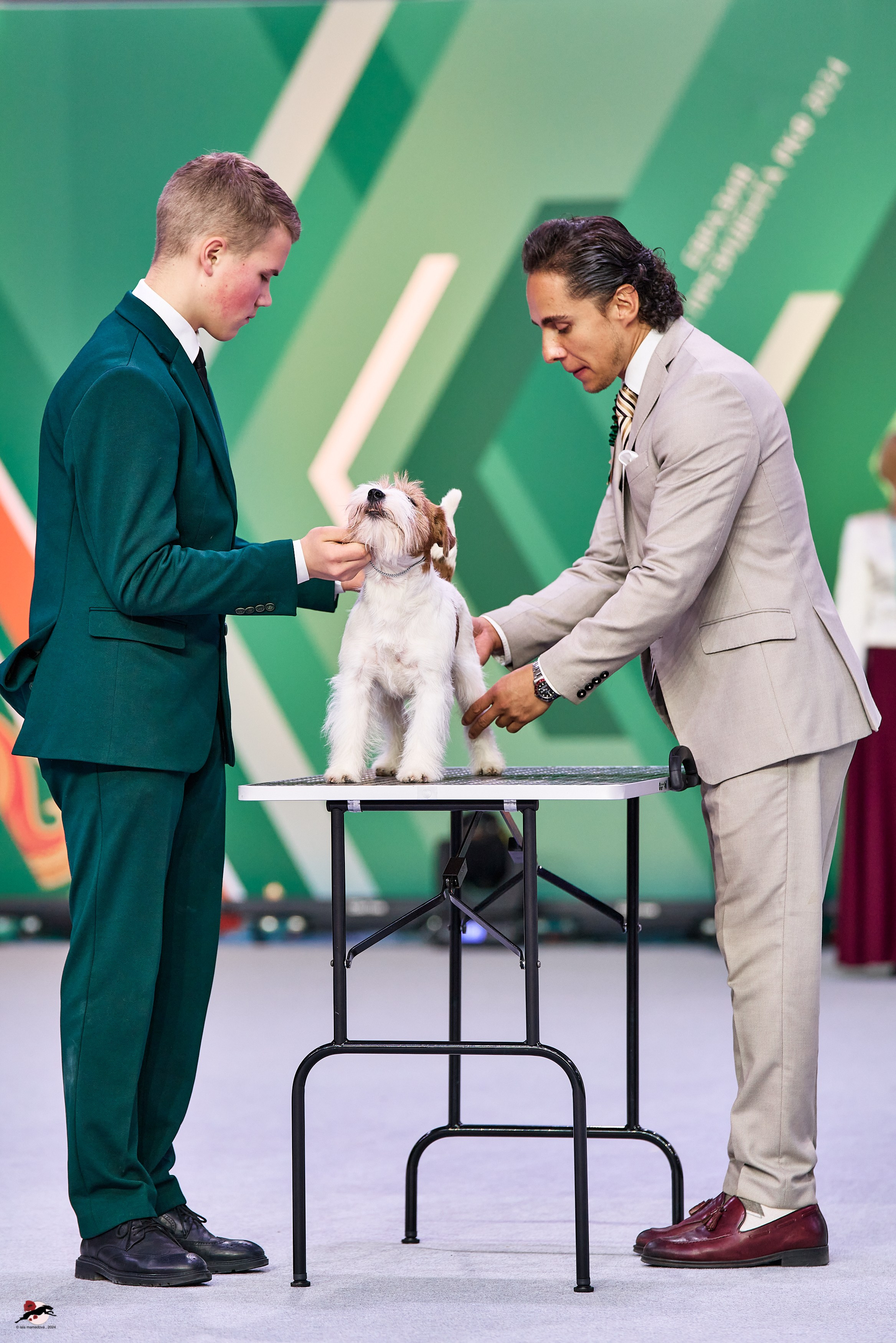 17.11.2024 «ЕВРАЗИЯ. КУБОК СНГ 2024»