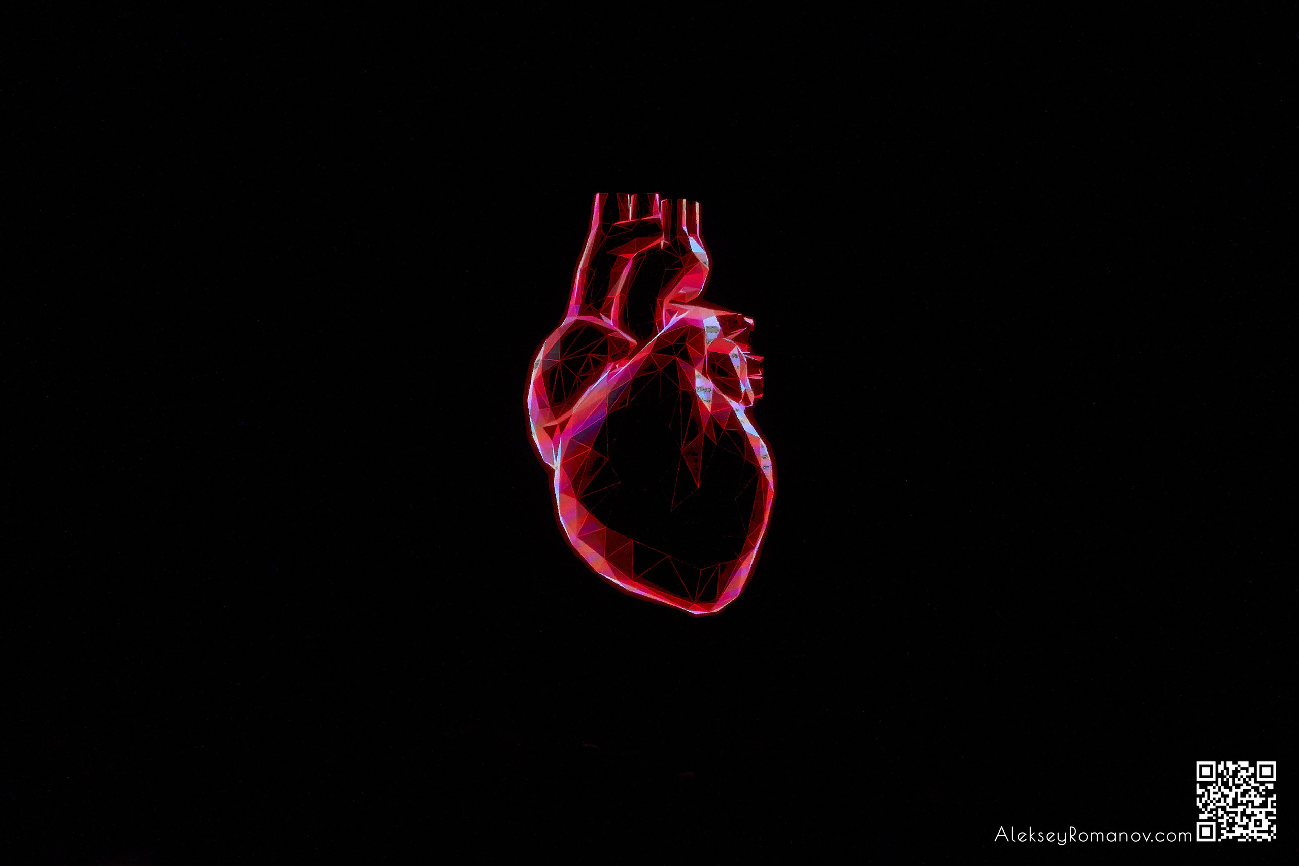 ZALKAR & NAZAR. Алексей Романов фотограф Санкт-Петербург, фотокурсы, фотошкола