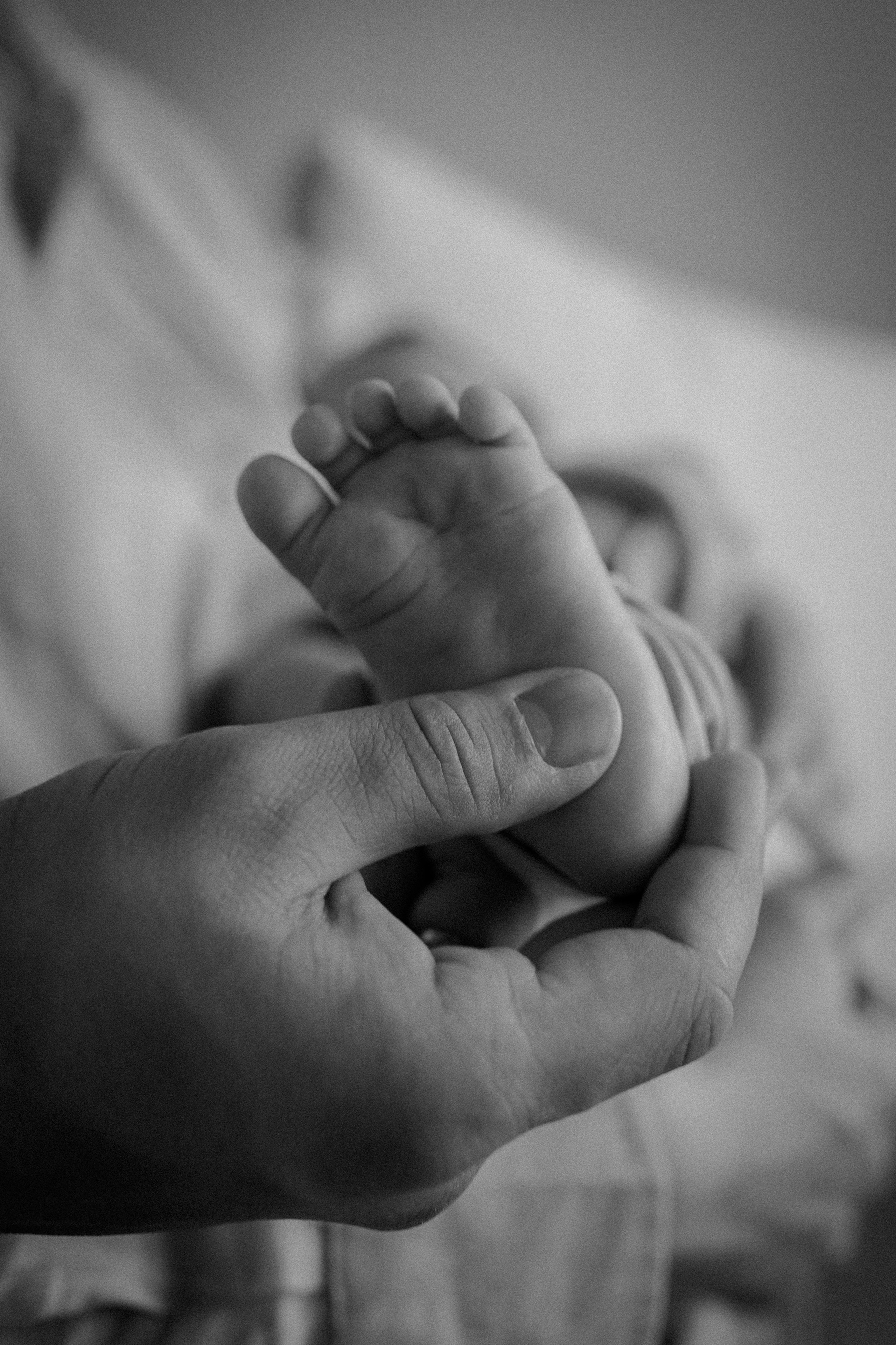 FAMILY. Фотограф Агеева Мария