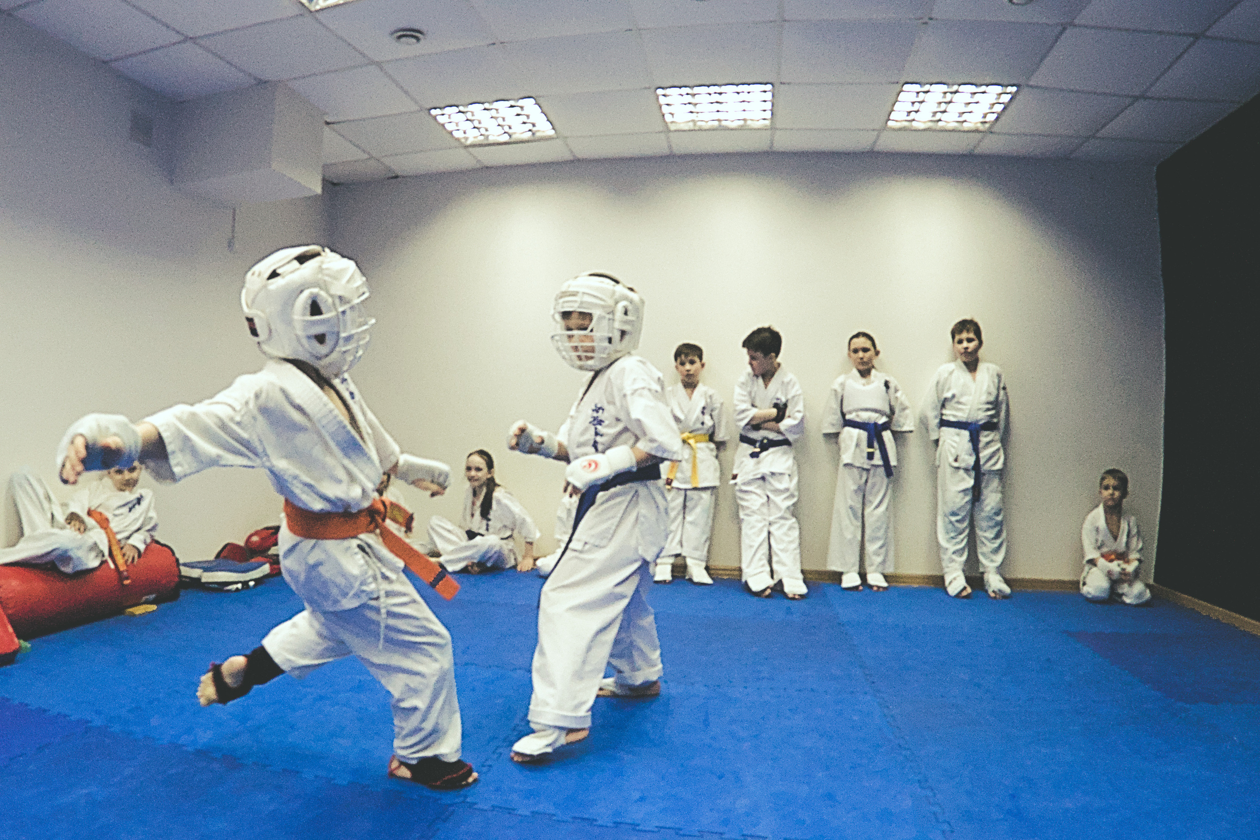 Соревнование по карате. Фотограф анималист, пейзажист, спортивные мероприятия. Новосибирск