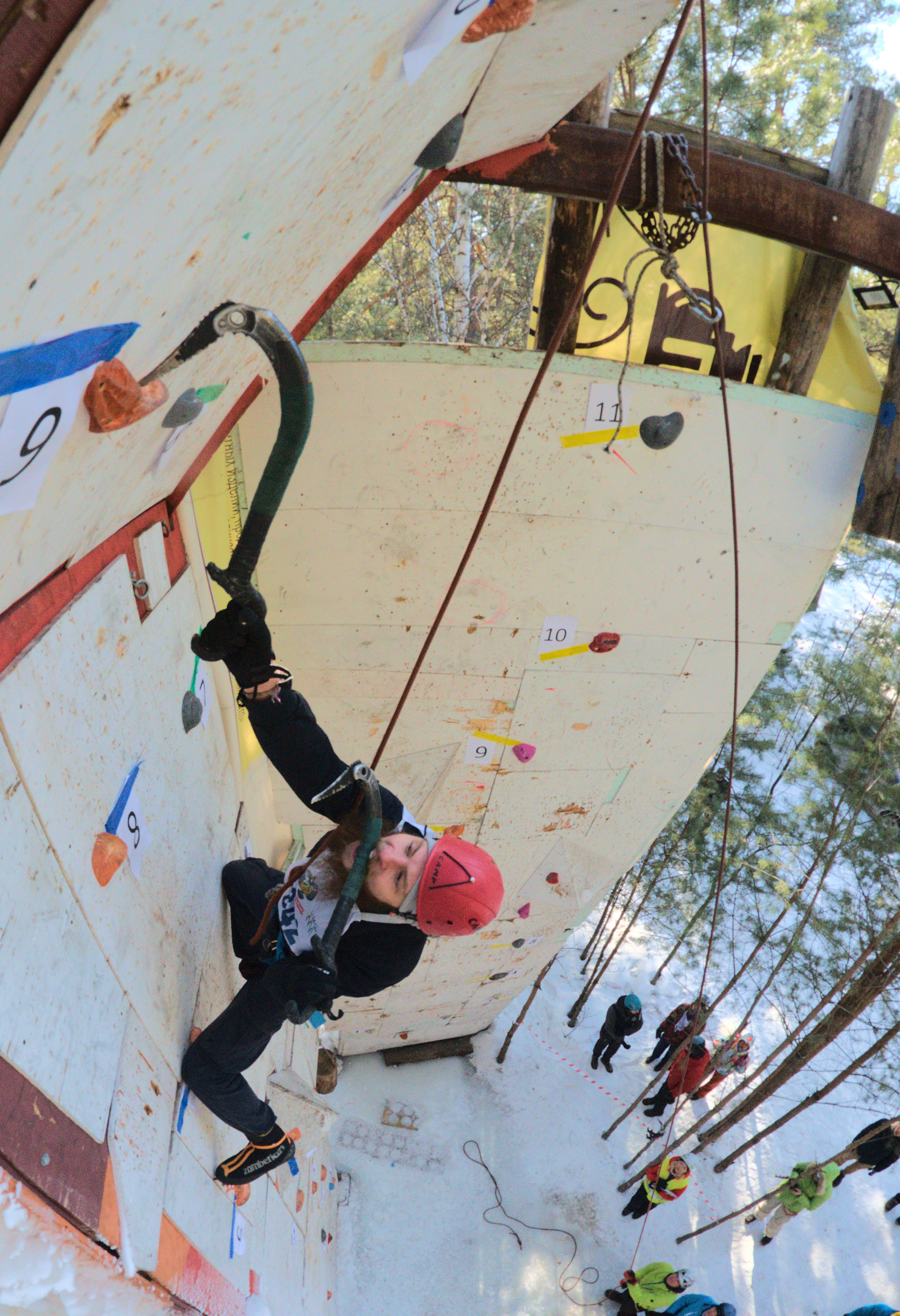 Фотограф анималист, пейзажист, спортивные мероприятия. Новосибирск