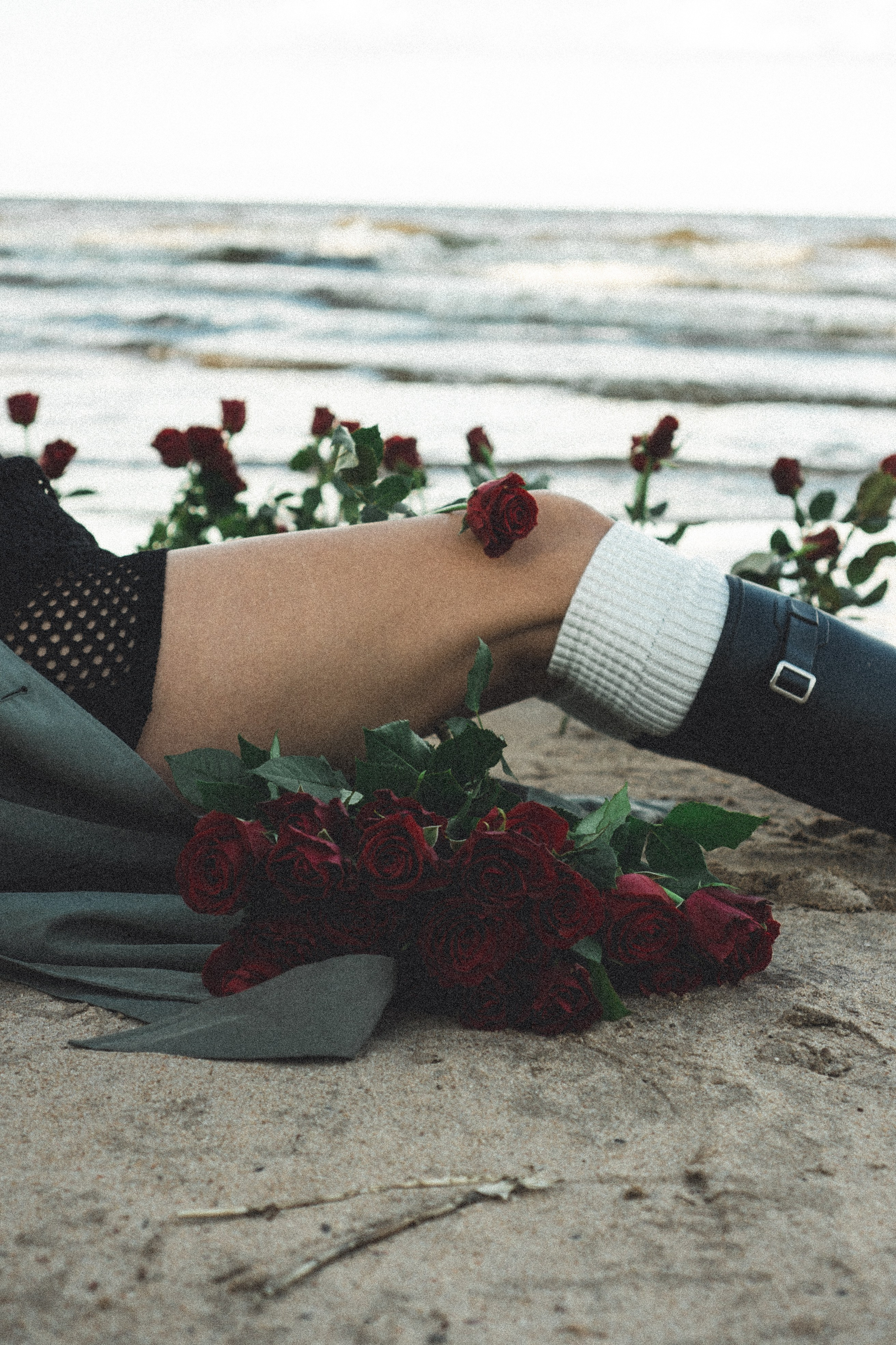 Розы. Профессиональный фотограф, Санкт-Петербург — Виктория Богомолова