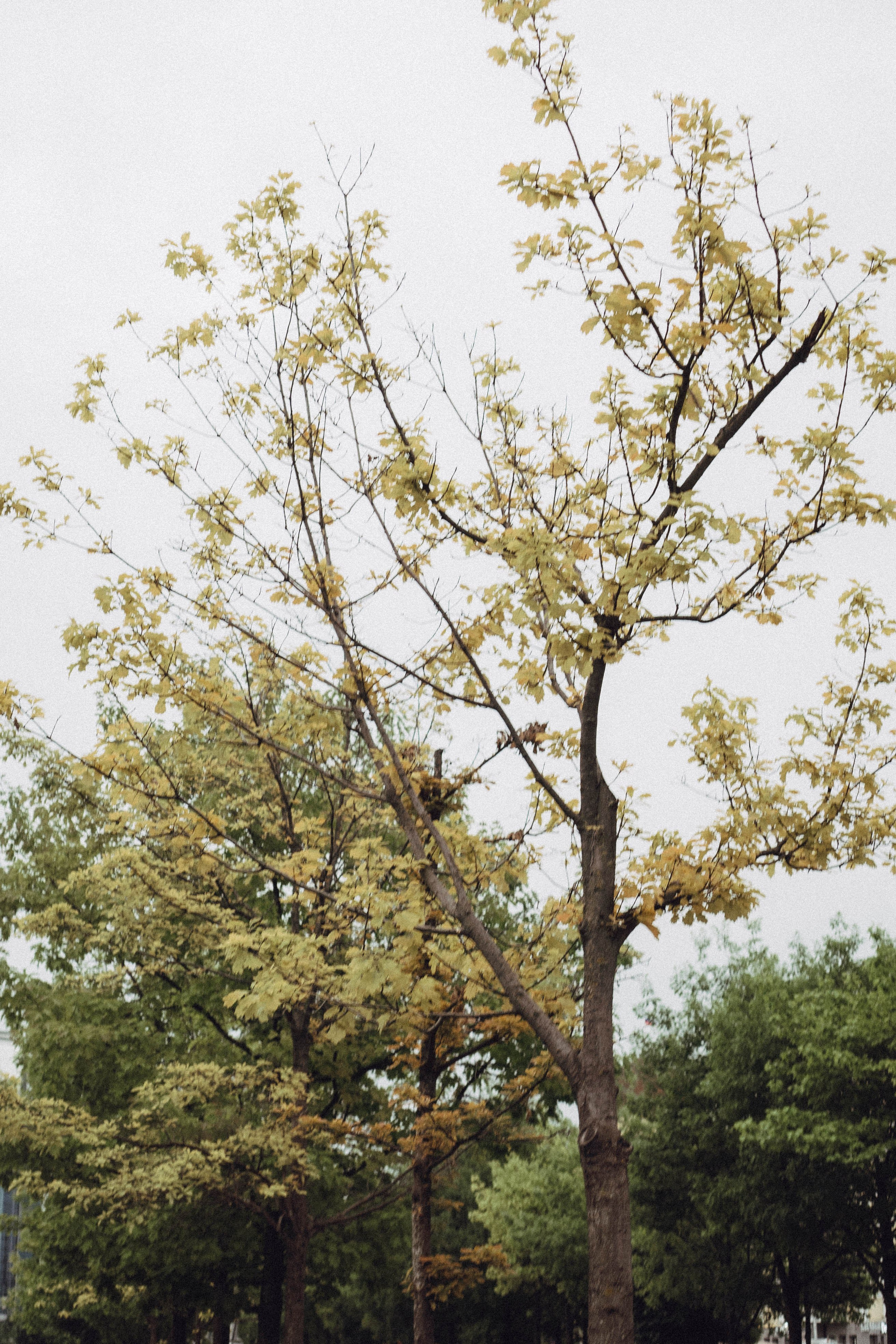 Кавказ. Профессиональный фотограф, Санкт-Петербург — Виктория Богомолова