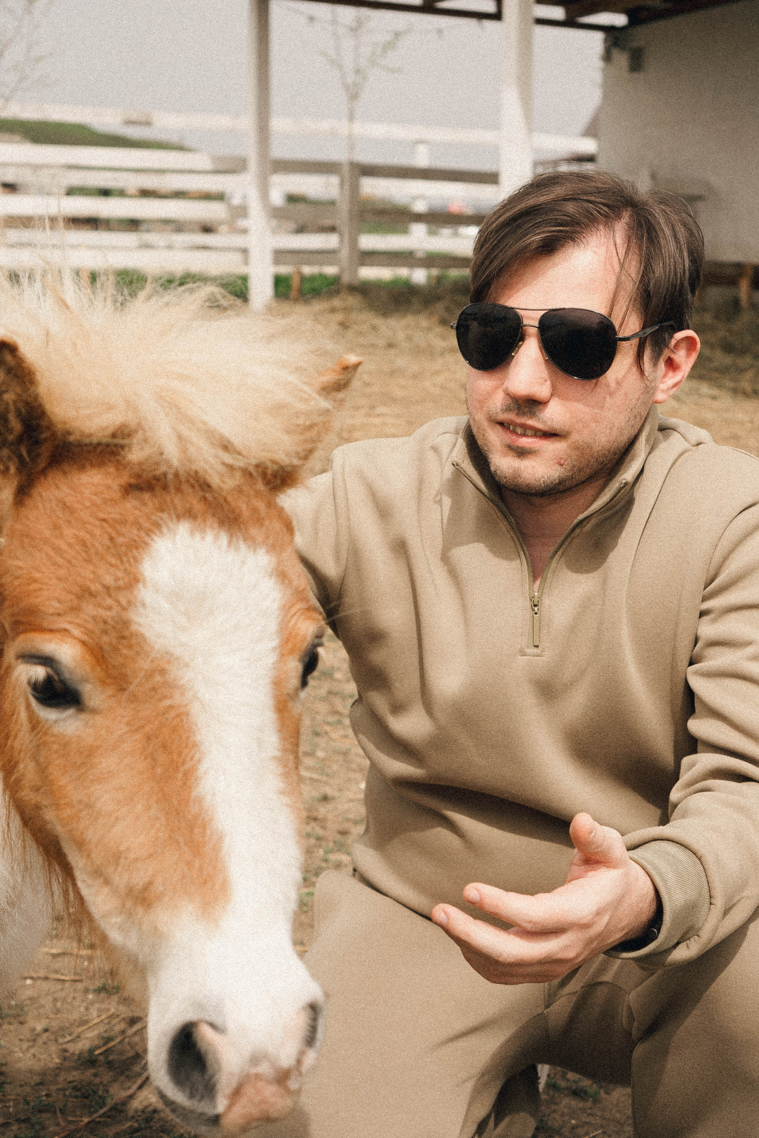 Ферма Альпак. Профессиональный фотограф, Санкт-Петербург — Виктория Богомолова