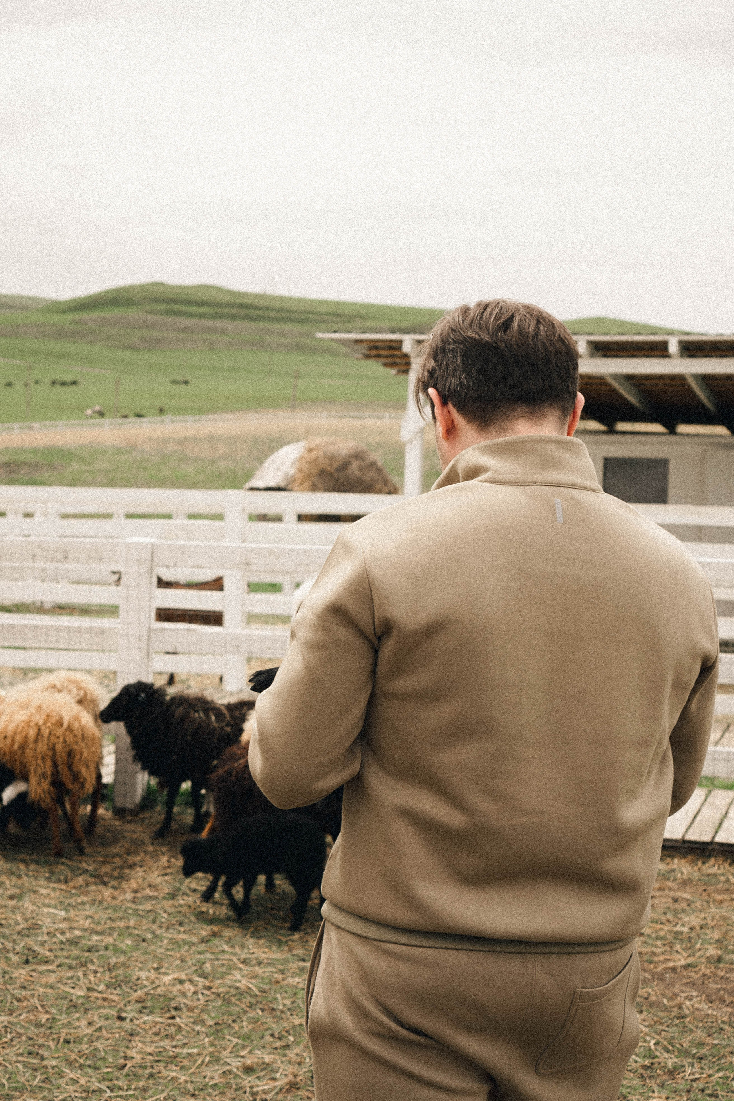 Ферма Альпак. Профессиональный фотограф, Санкт-Петербург — Виктория Богомолова