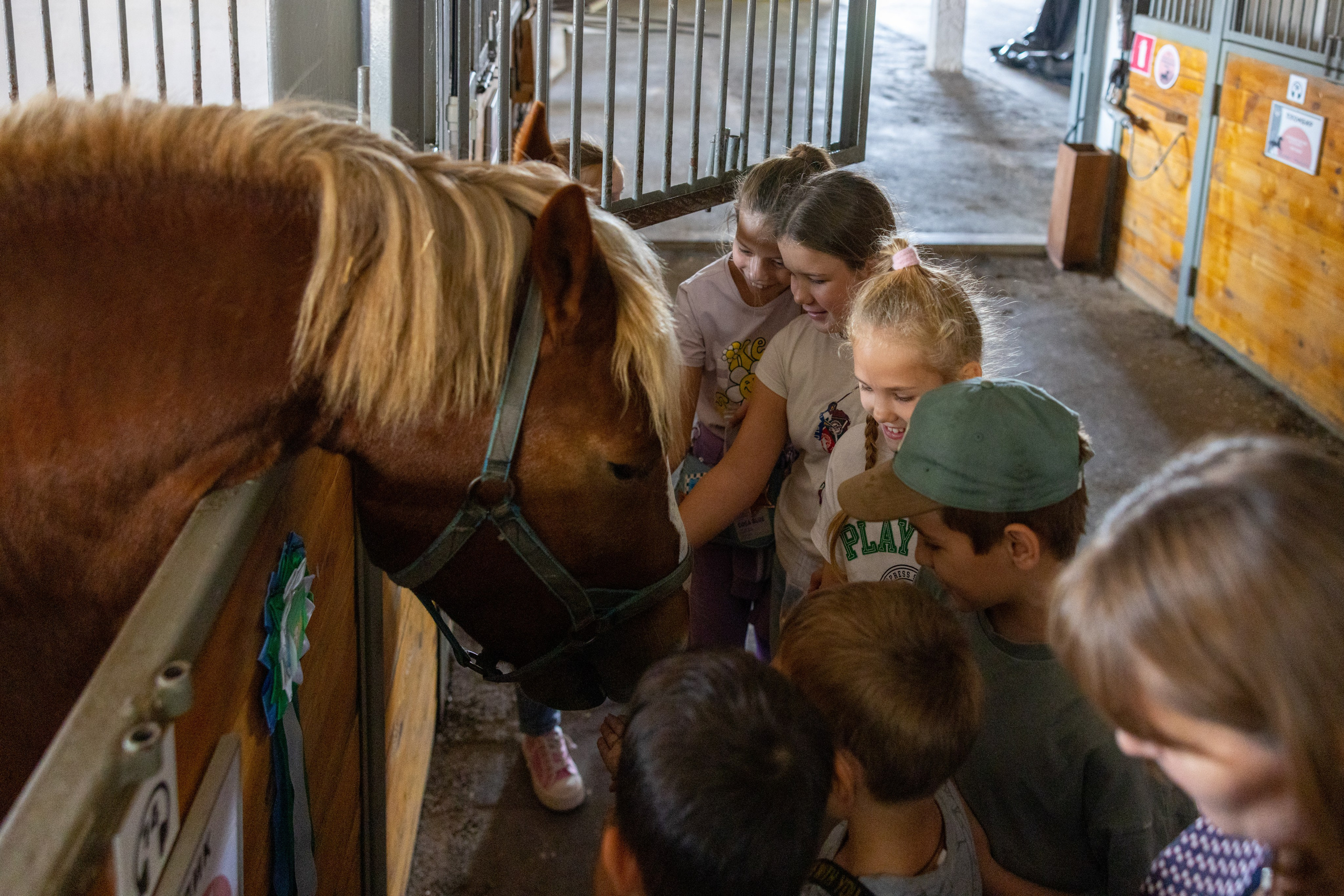 Поездка на поле Кулеково. Фотограф в Туле Крупский АнДРей. Фотостудия «КАДР71» в Туле