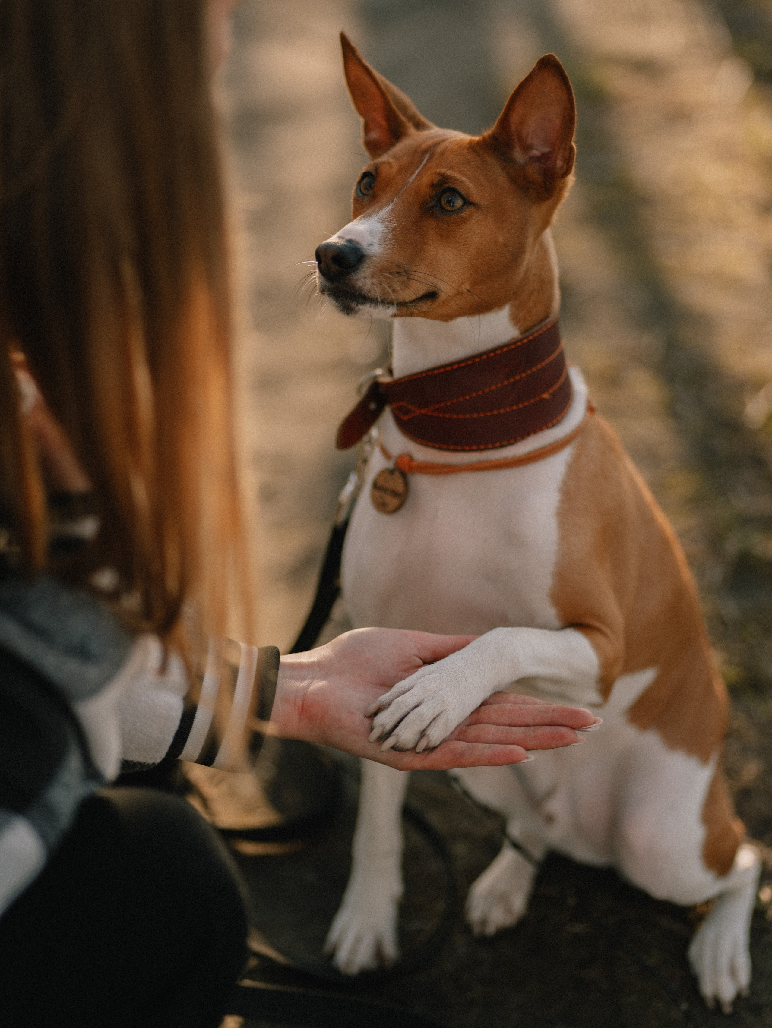 Маша и Хьюстон. Фотограф Ника Лиепа