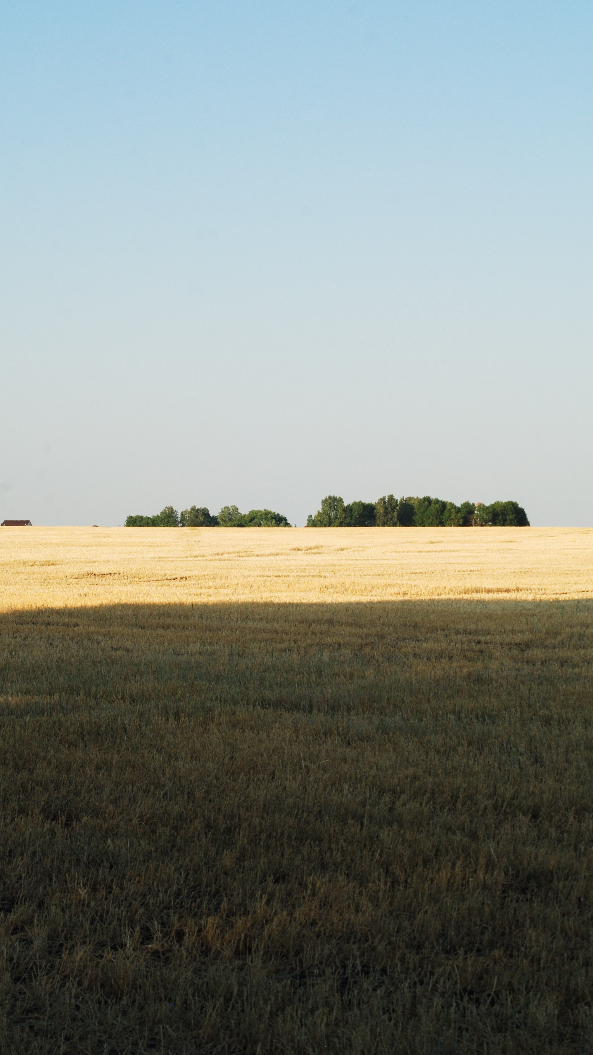 Этот прекрасный мир