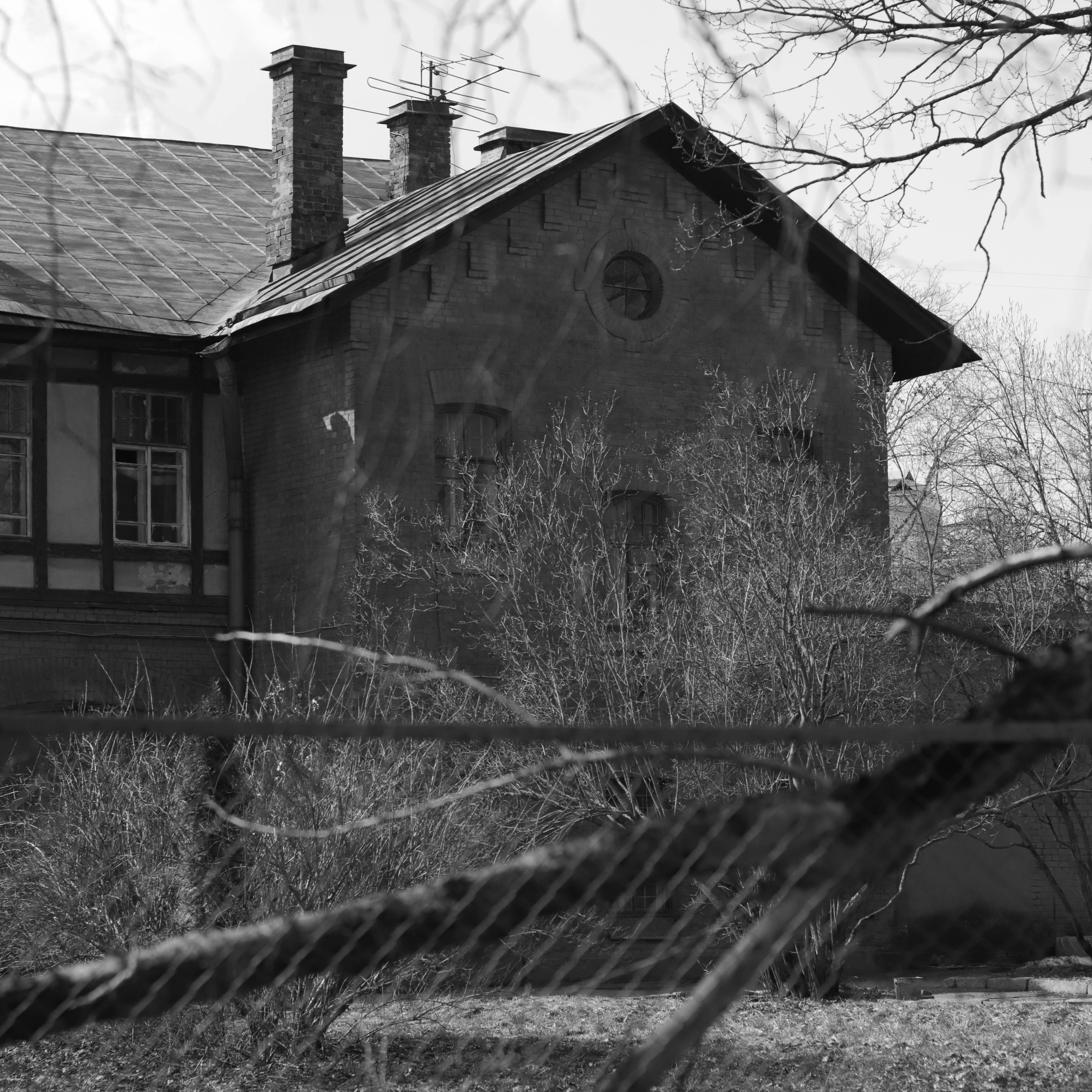 Tsarskoe Selo. Фотограф и исследователь фотографии из Санкт-Петербурга Елизавета Веприцкая