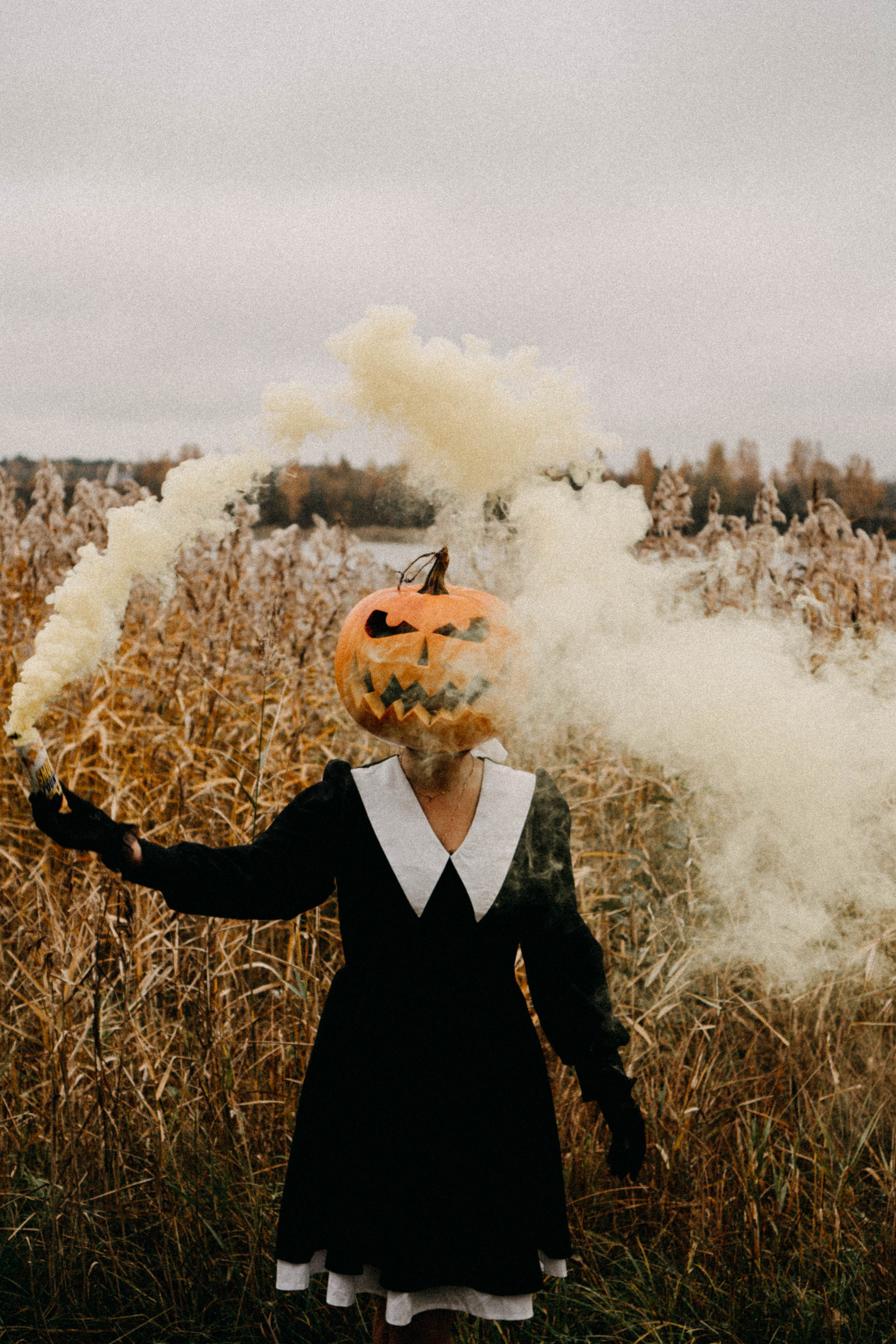 Осеняя. Профессиональный фотограф, Санкт-Петербург — Виктория Богомолова