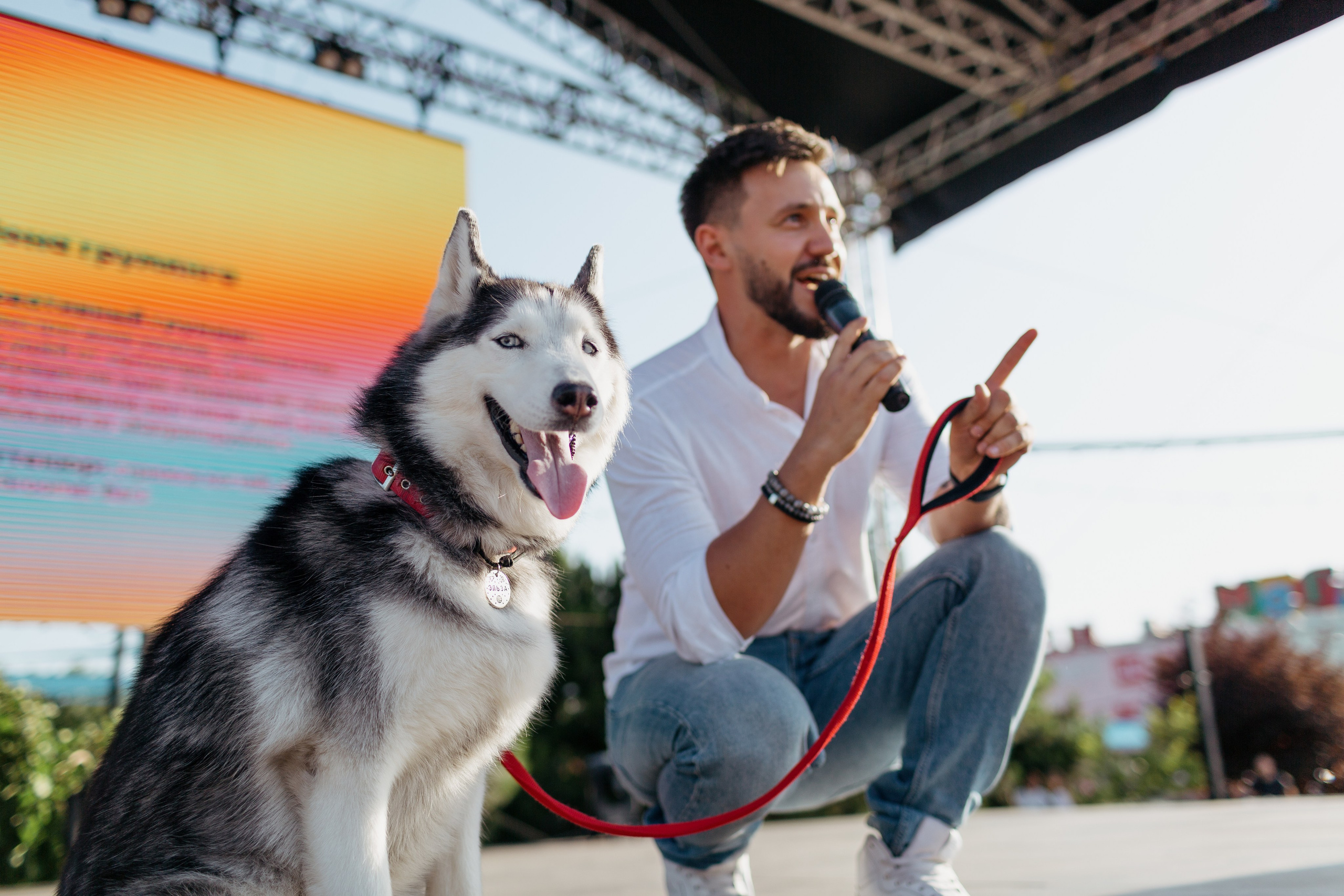 Dog Fest 2024. Главная