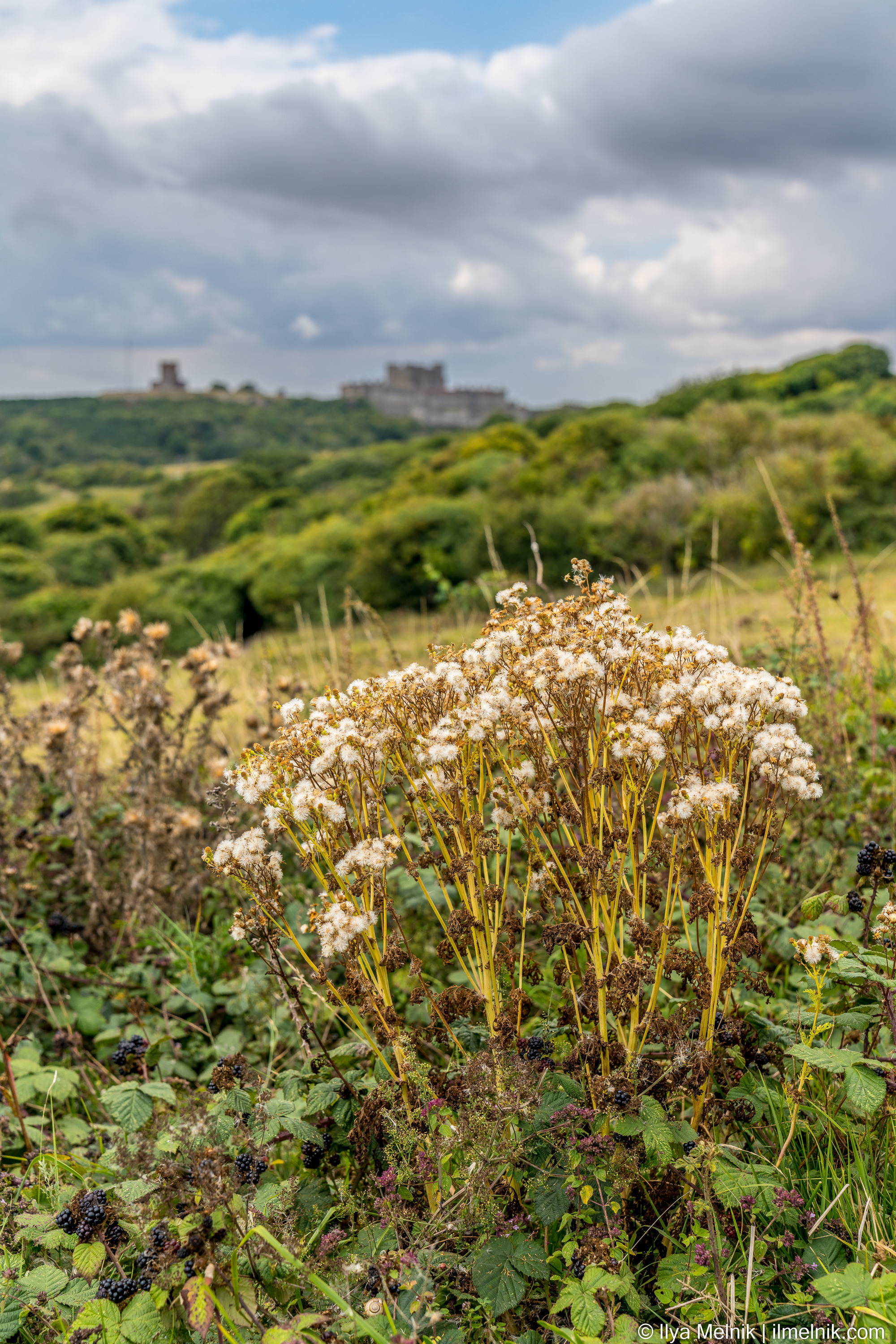 England. Ilya Melnik Photography