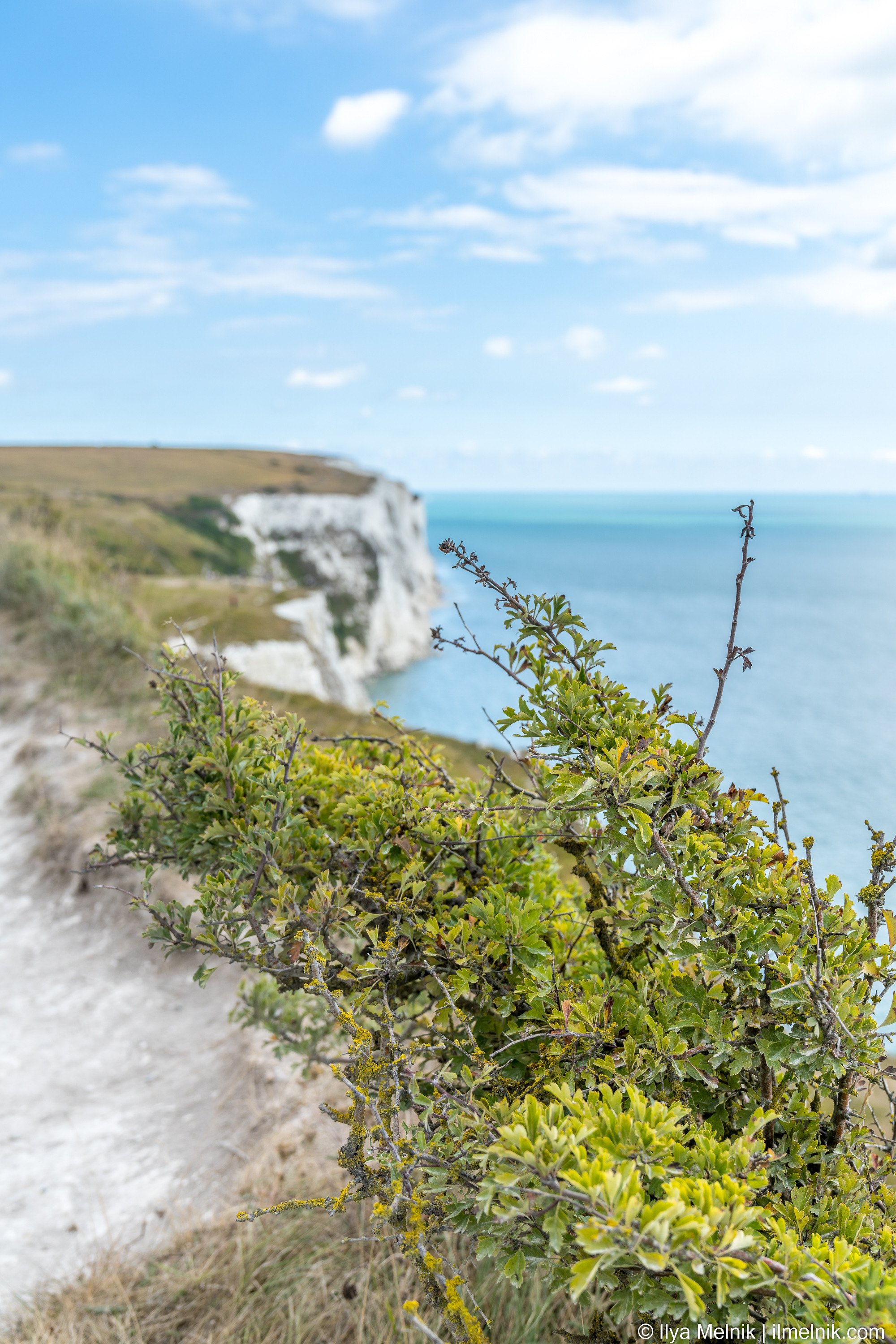 England. Ilya Melnik Photography