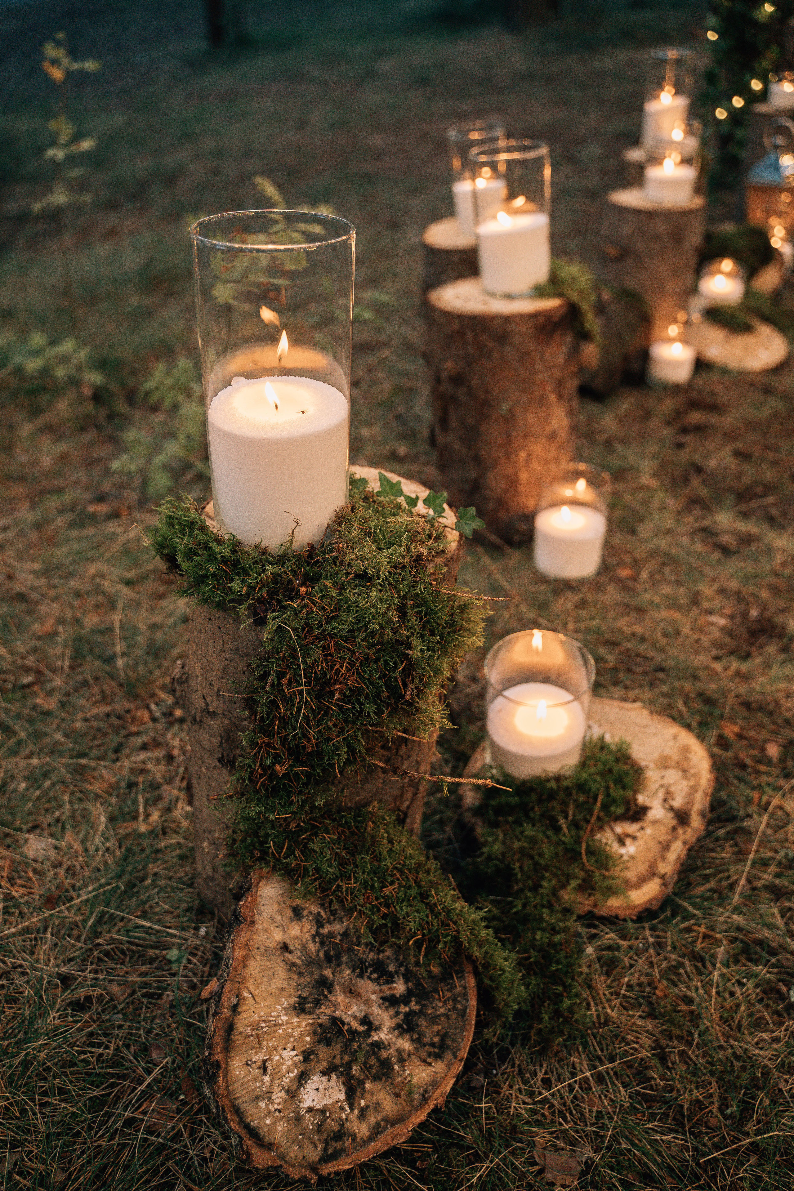 Настя и Женя. Свадебный фотограф