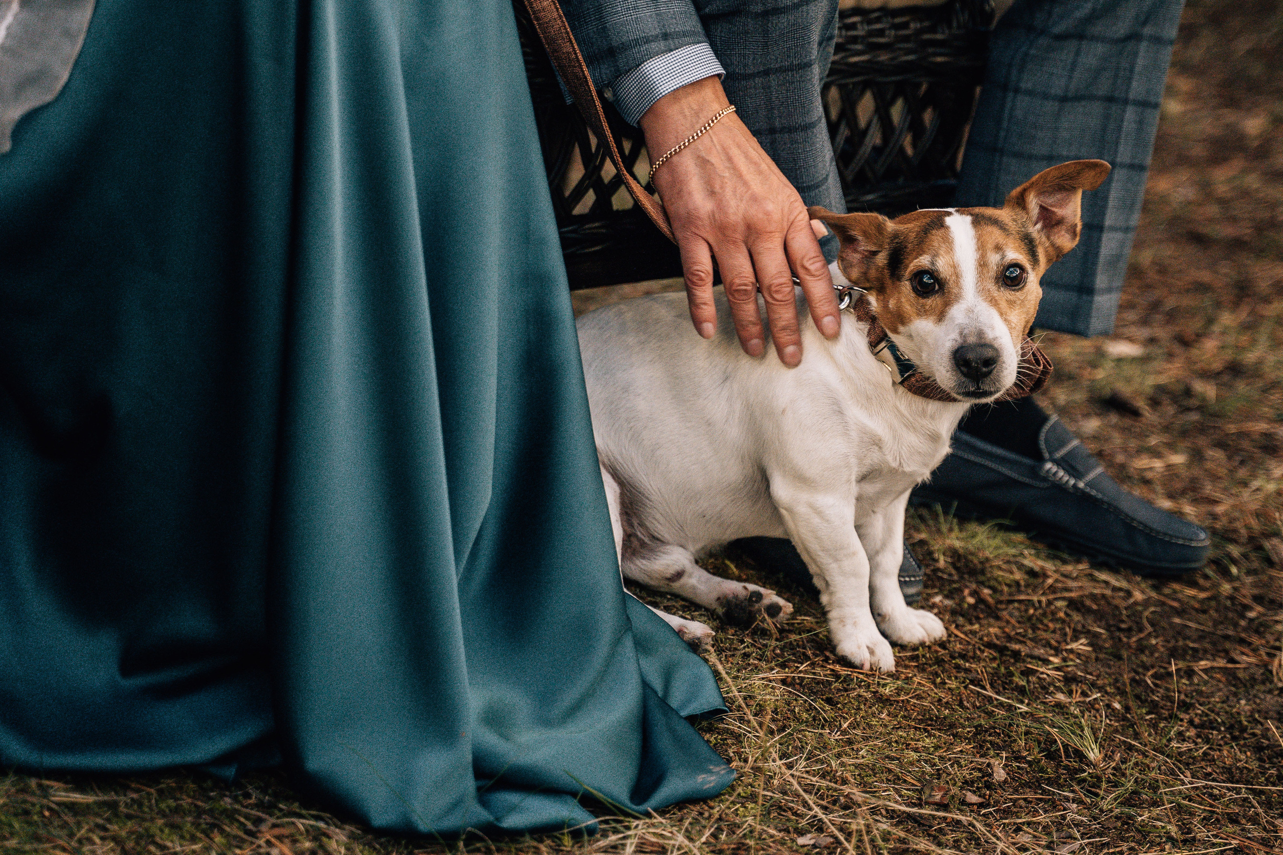 Настя и Женя. Свадебный фотограф