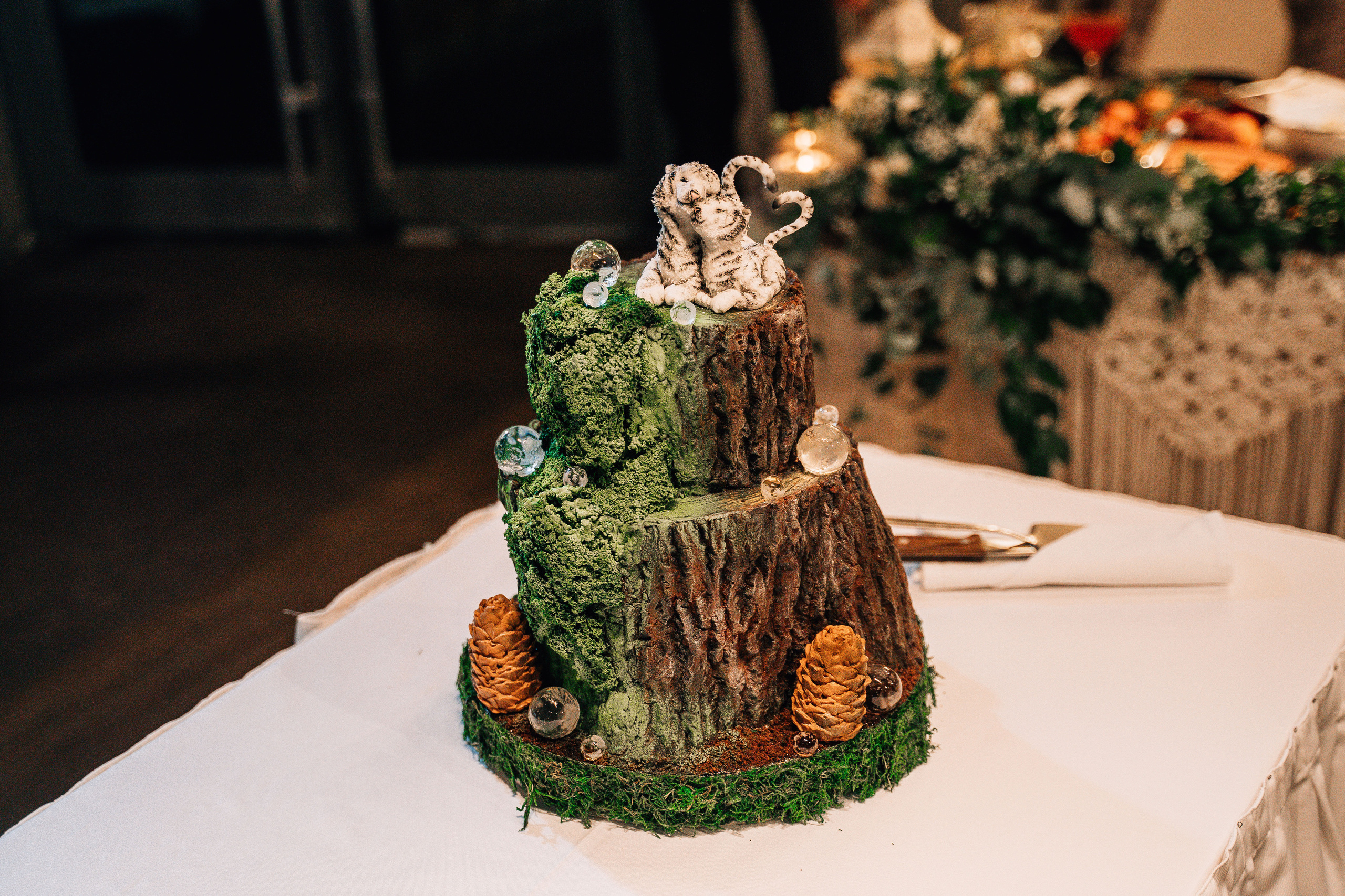 Настя и Женя. Свадебный фотограф