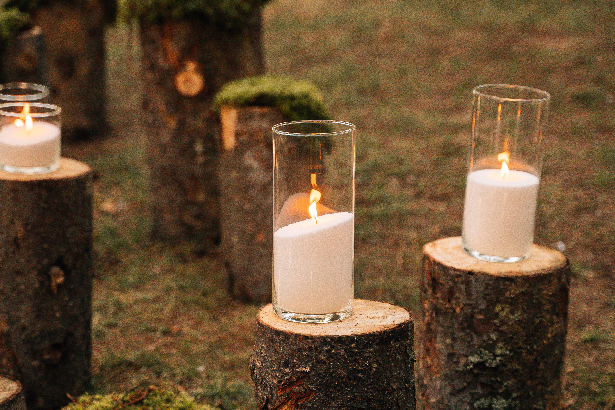 Настя и Женя. Свадебный фотограф