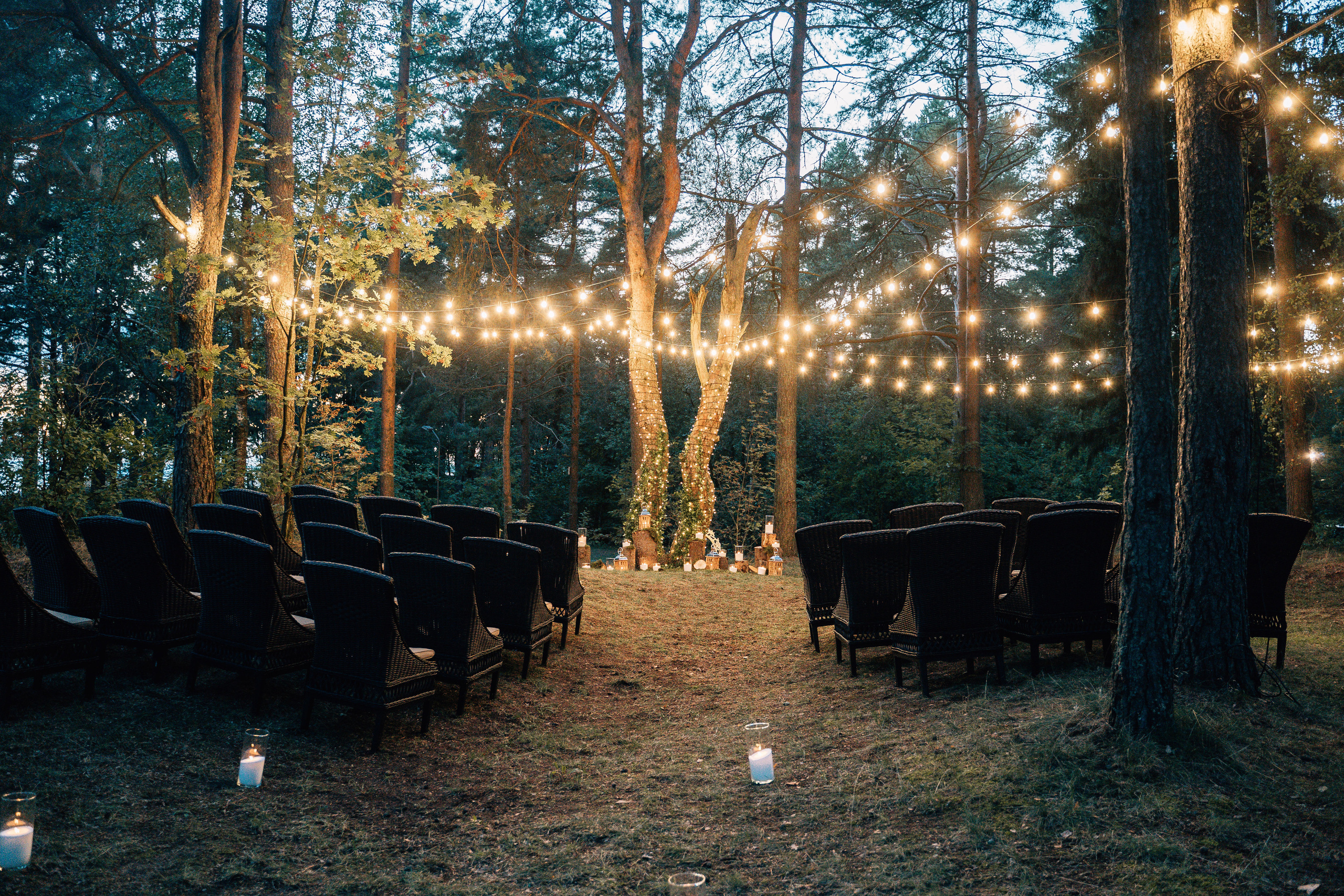 Настя и Женя. Свадебный фотограф