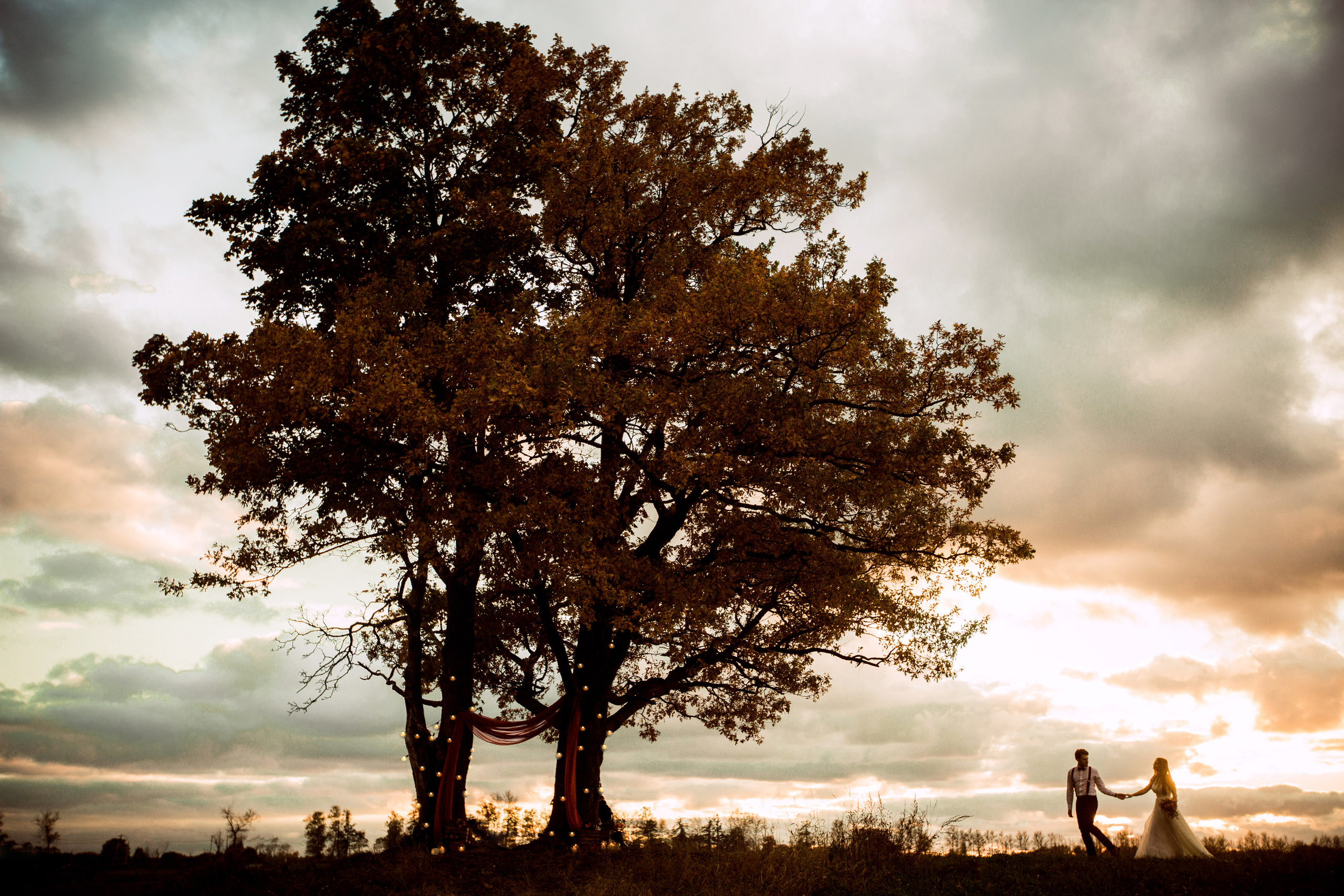 Свадебный фотограф