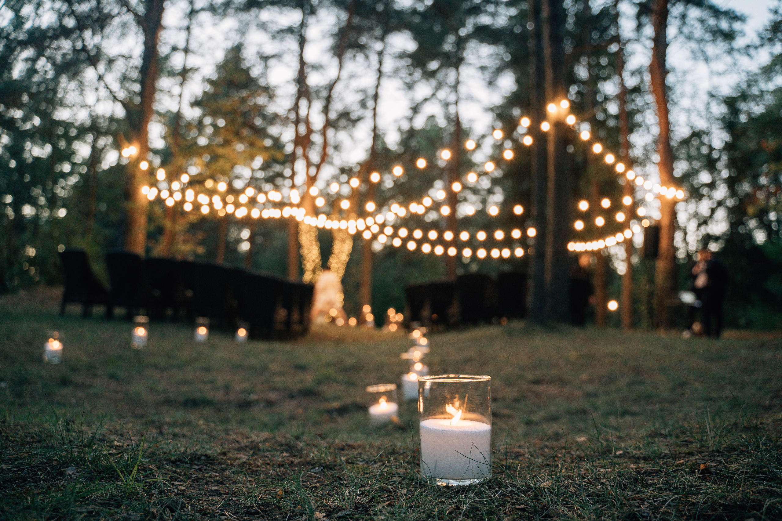Настя и Женя. Свадебный фотограф