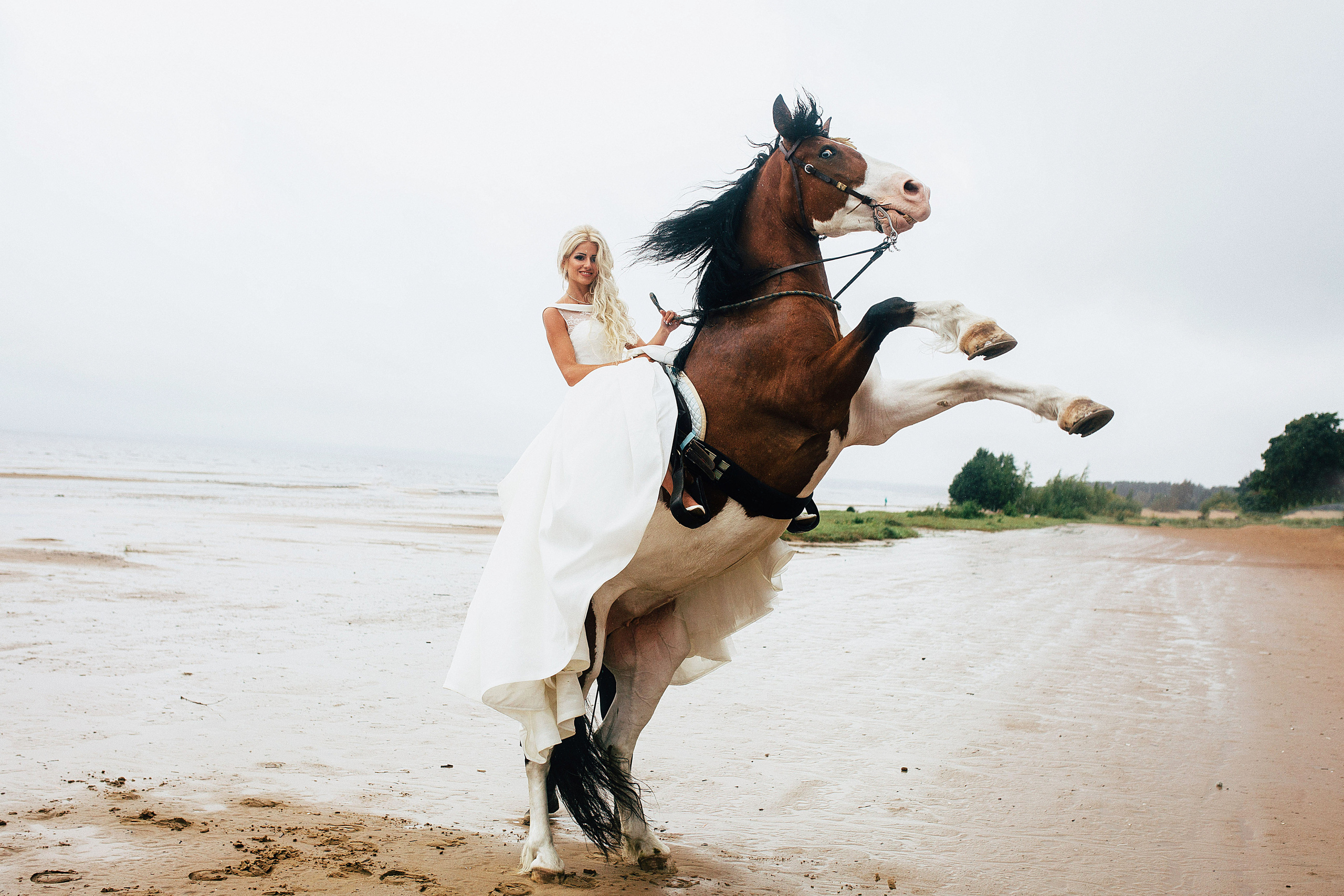 Свадебный фотограф