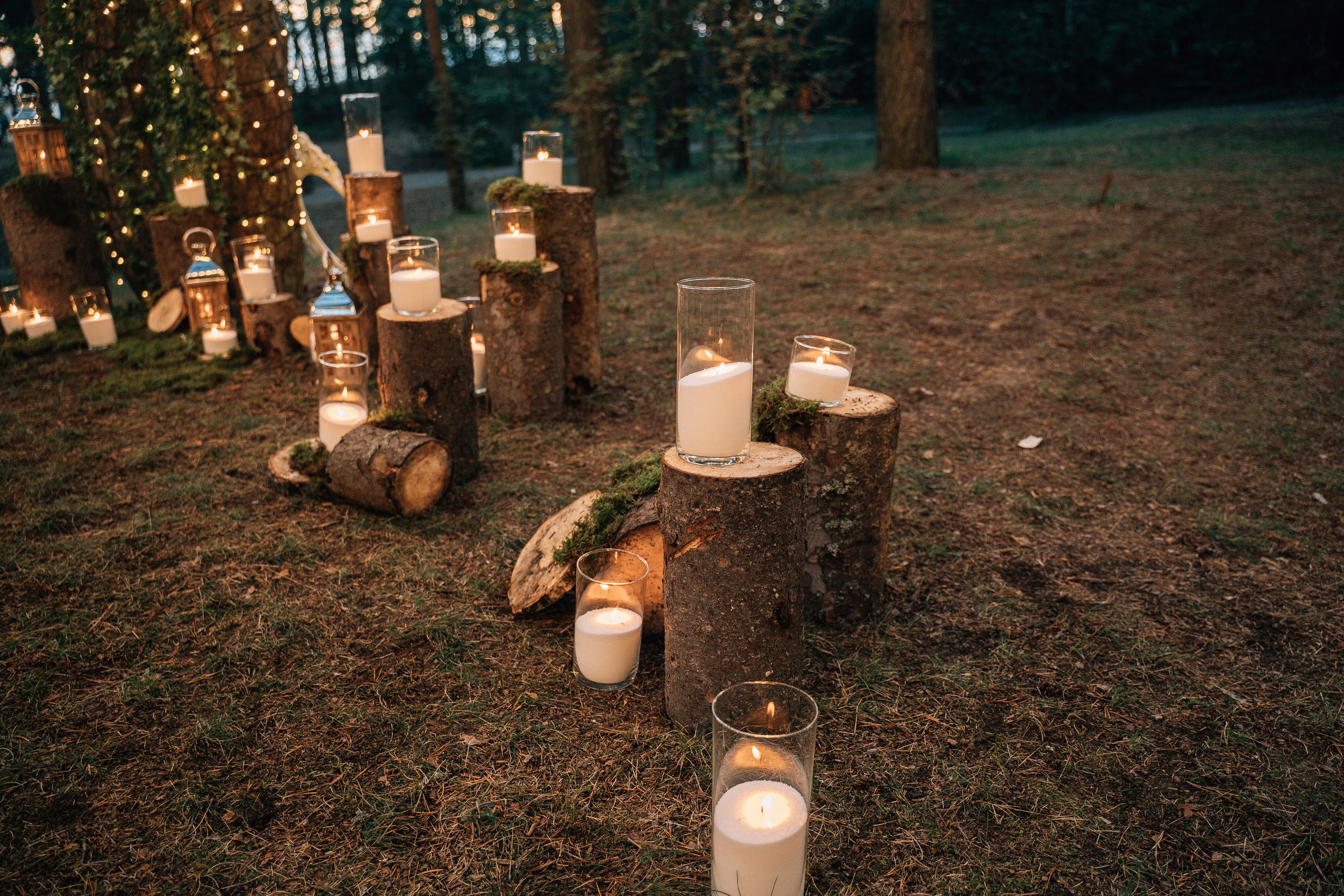 Настя и Женя. Свадебный фотограф