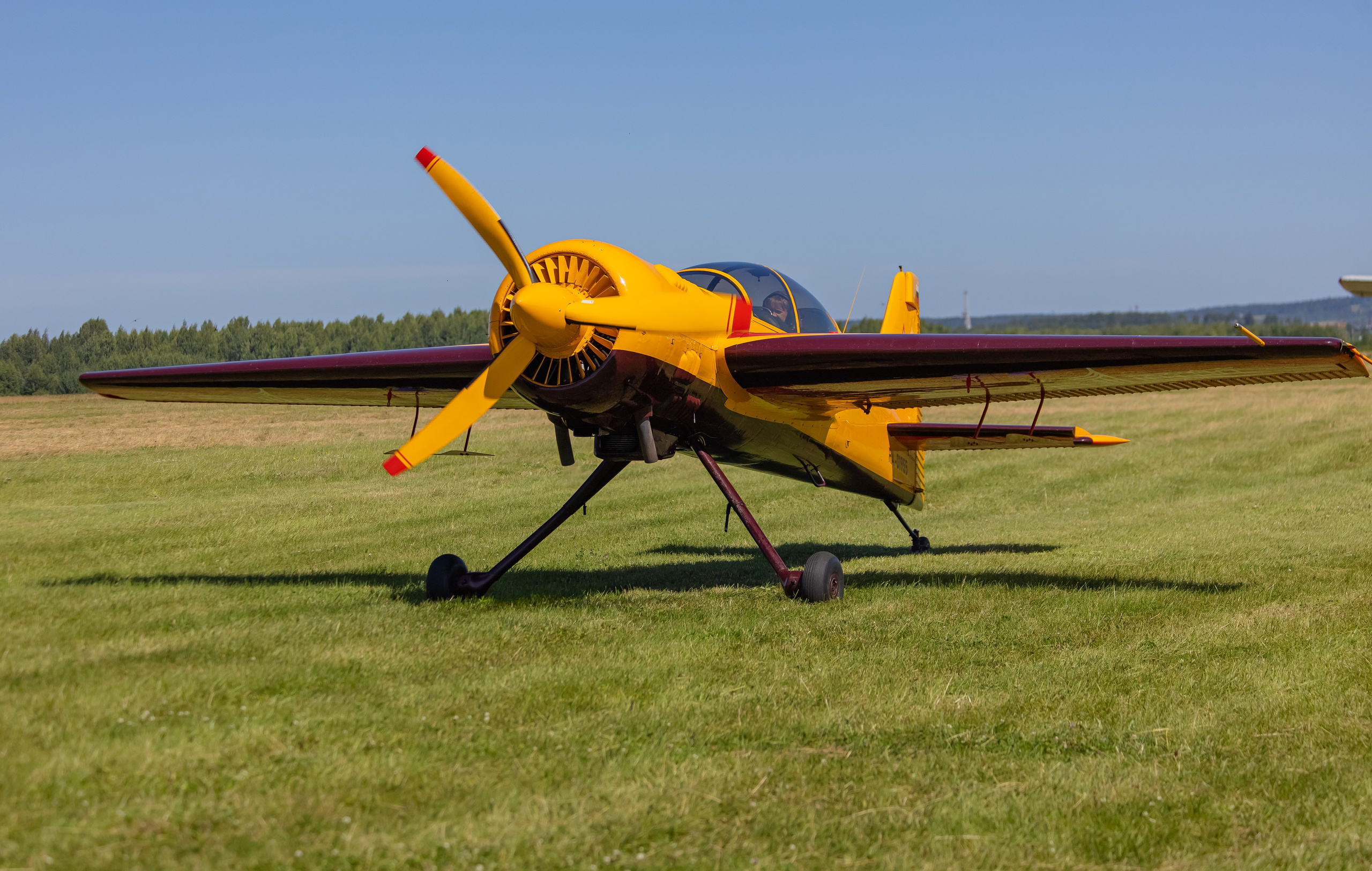 Крылья Пармы 2025 г. KATERINA VINOKUROVA ФОТОГРАФ ПЕРМЬ