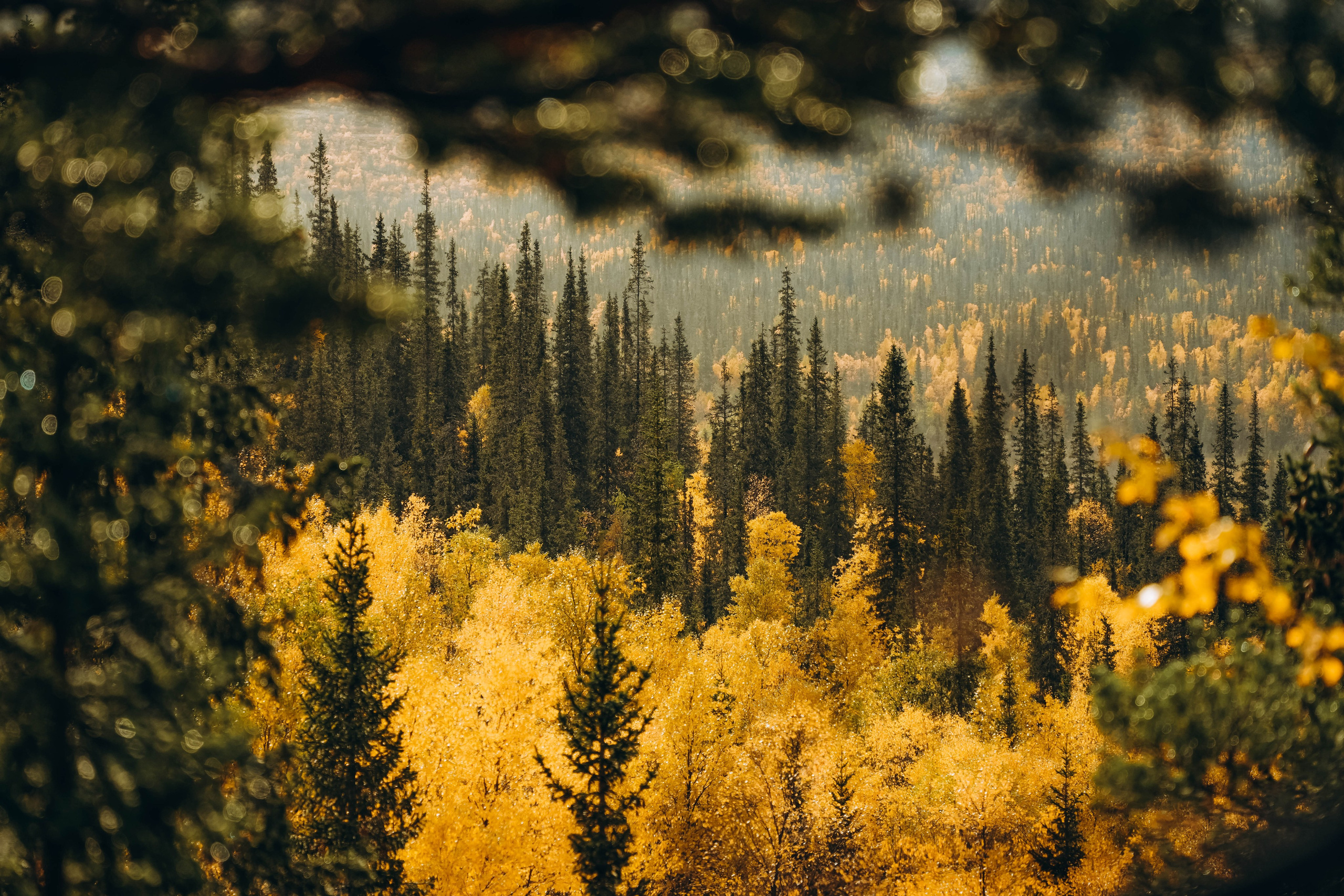 СЕВЕР. Event фотограф Степанова Александра