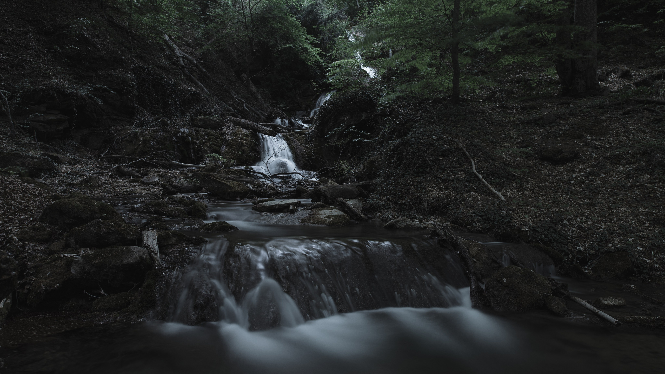 Nature. Артем Корнев Фотограф