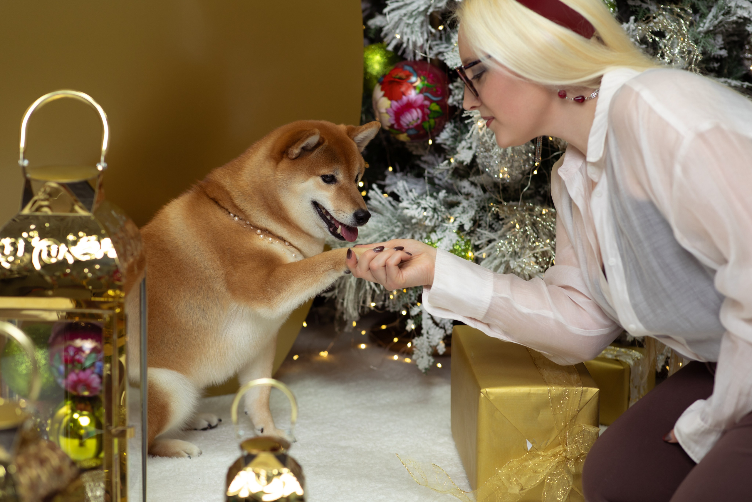 Фотосессии с питомцами в Сургуте