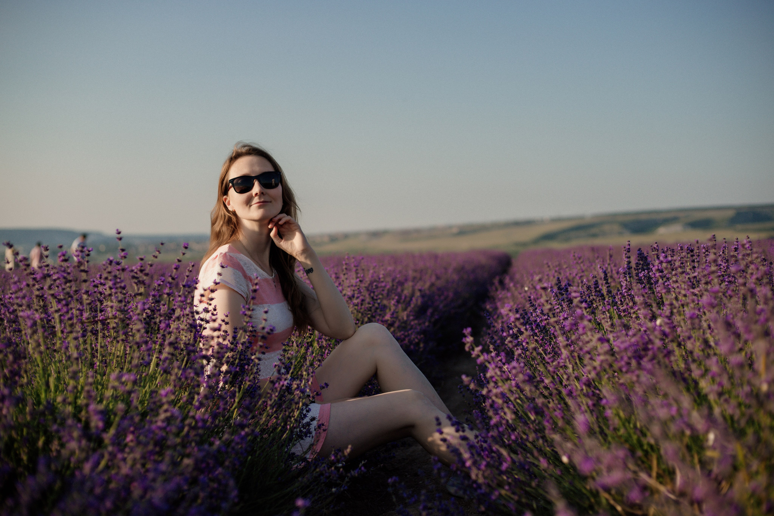 Лаванда. Фотограф и Видеограф Севастополь Крым