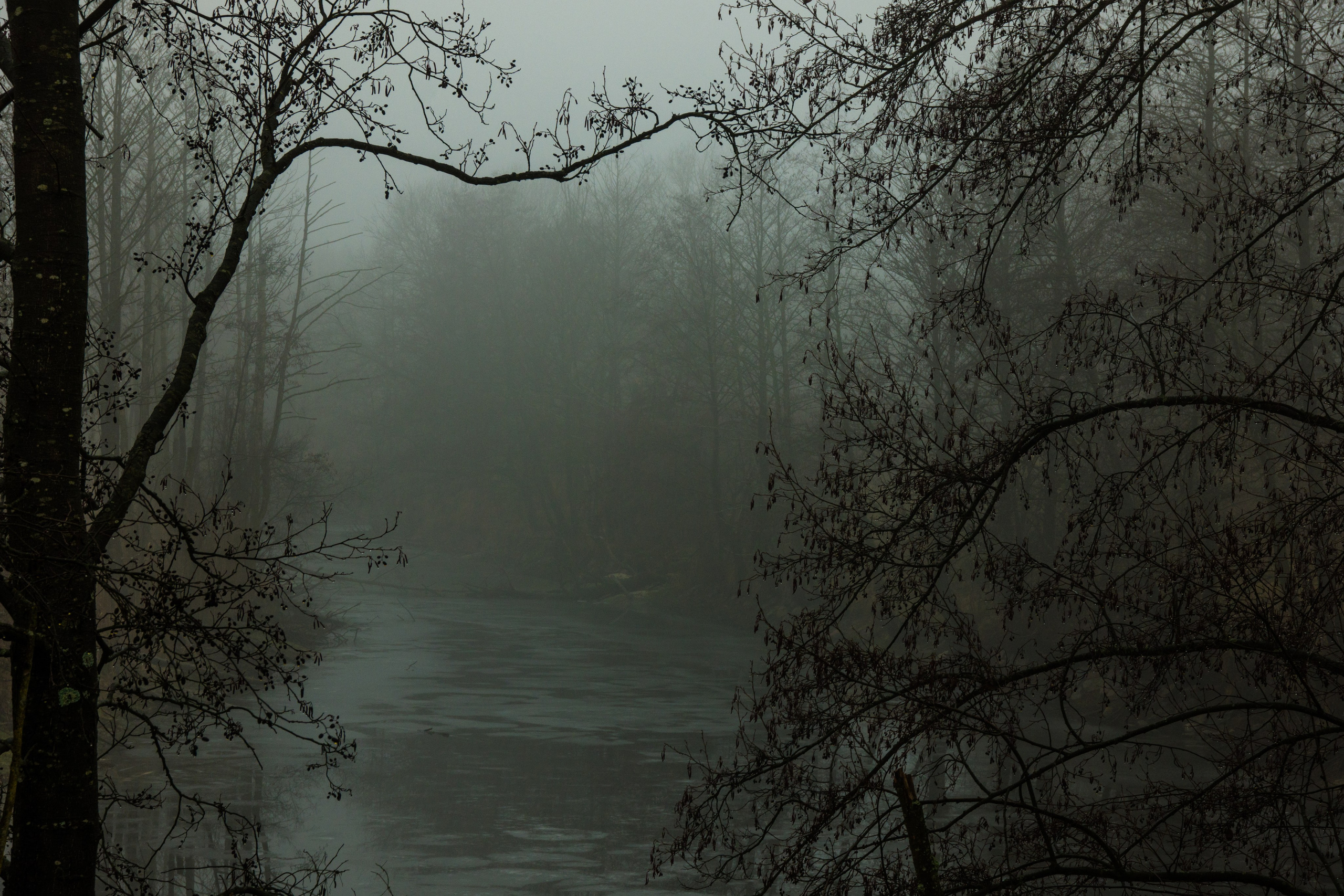 Singles 2. Alyona Kochetkova | Photographer and photography educator