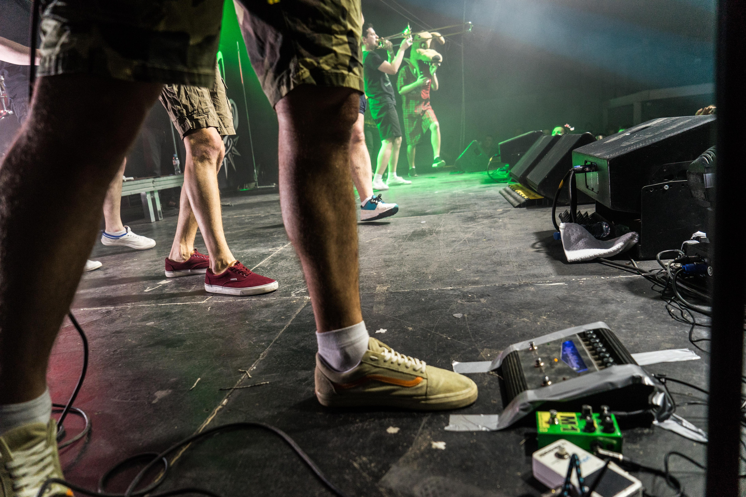 Distamper. Твой фотограф — Полосатый кот