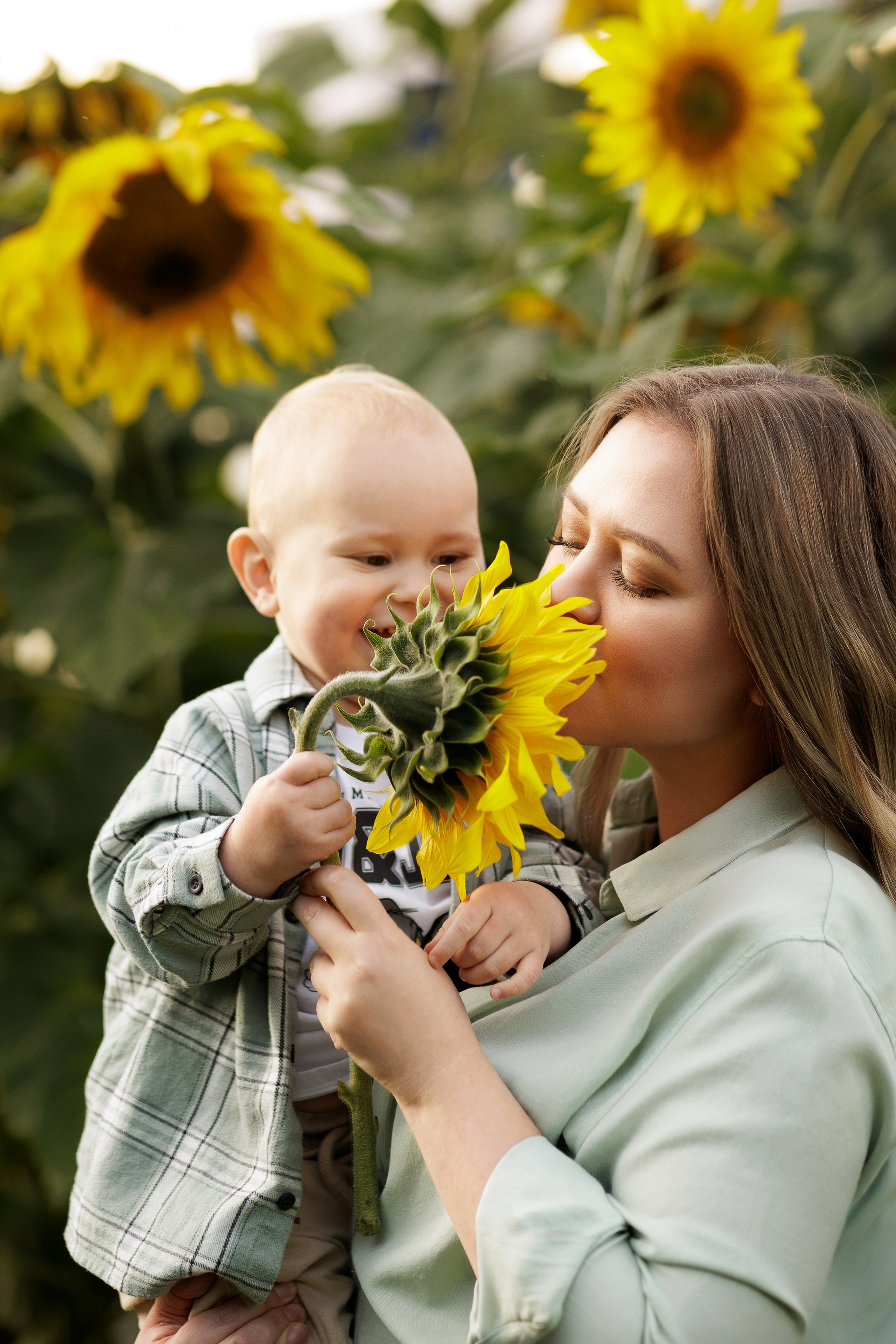 Фотосессия в подсолнухах в Екатеринбурге