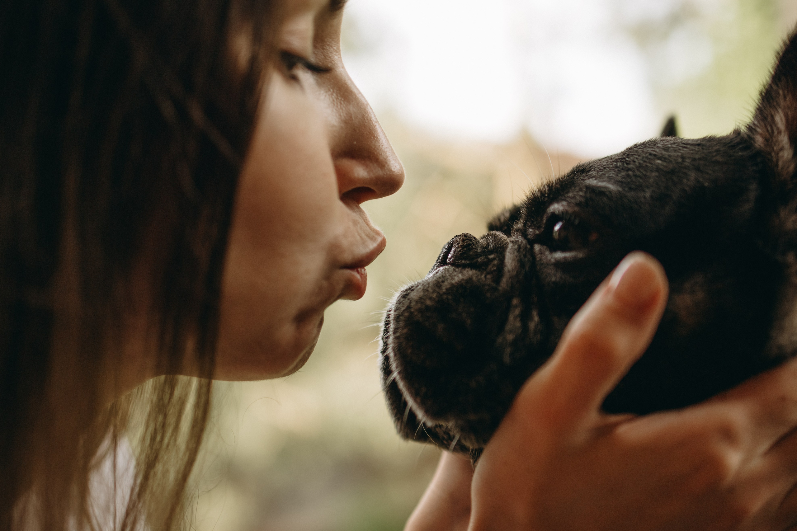 Софа и ее хвостики. Фотограф — Анималист | Санкт-Петербург