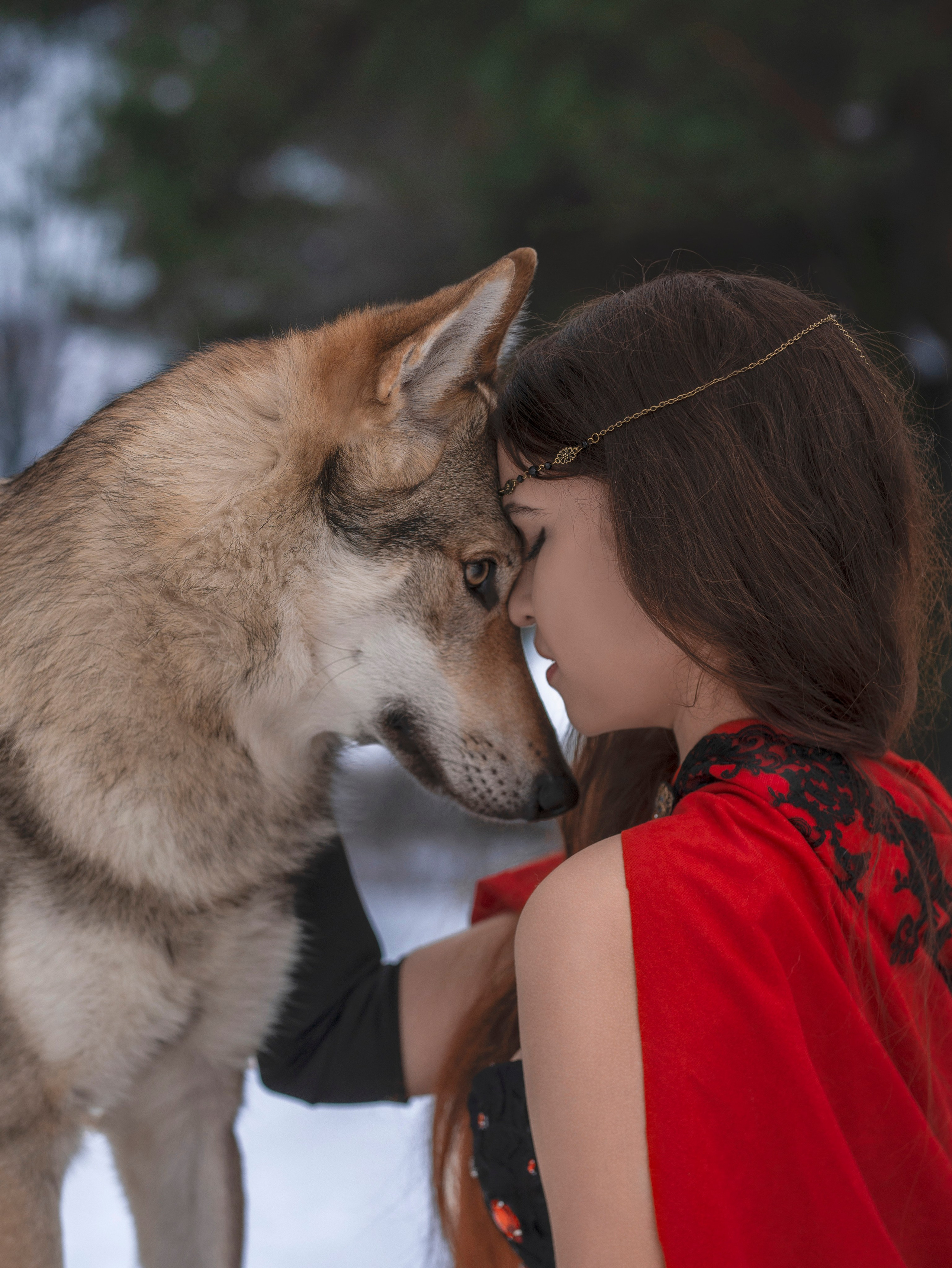 Валерия и влчак. Арт фотограф, женский фотограф Москва