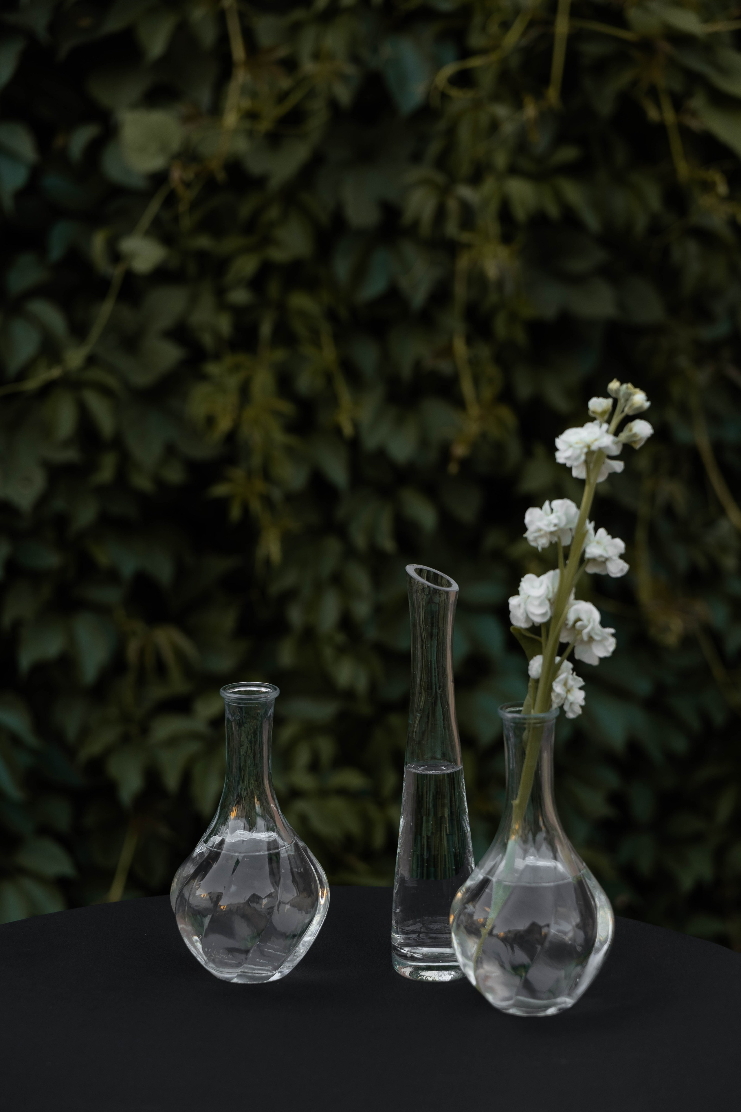 ILSUR | GUZEL. Главная